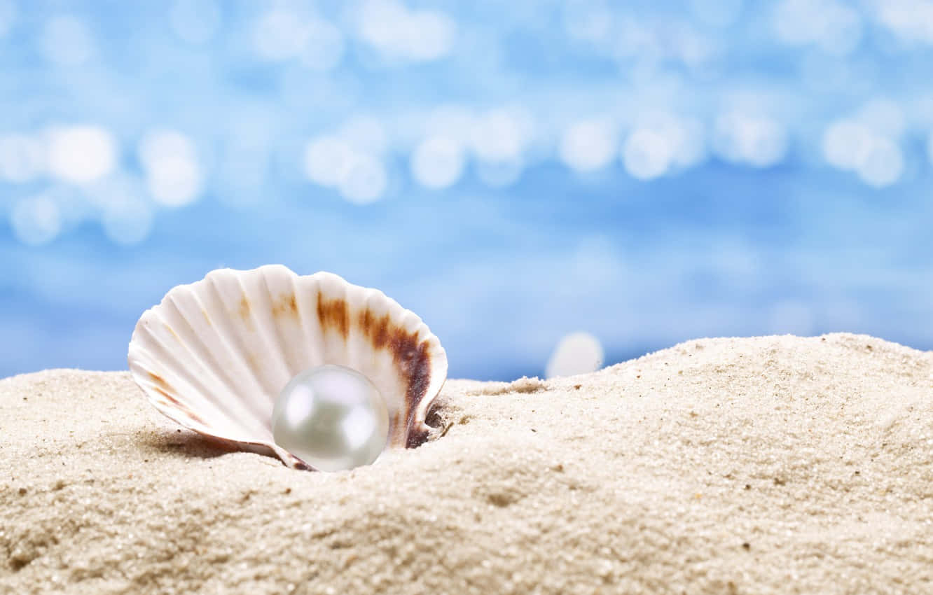 Elegant Seashell With A Precious Pearl Background