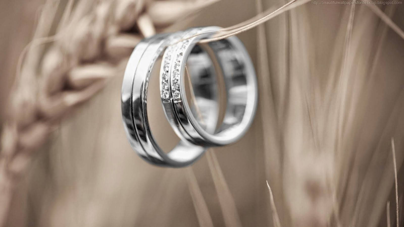 Elegant Silver Wedding Rings Background