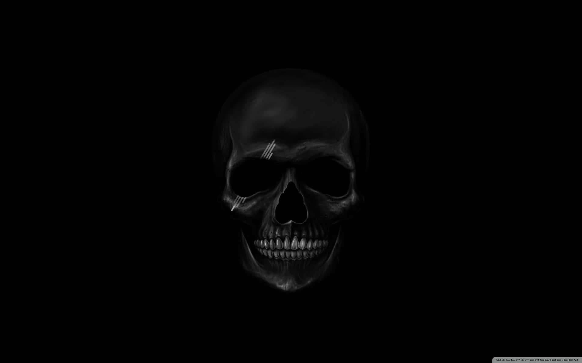 Elegant Skeleton Standing Out Against A Black Background Background