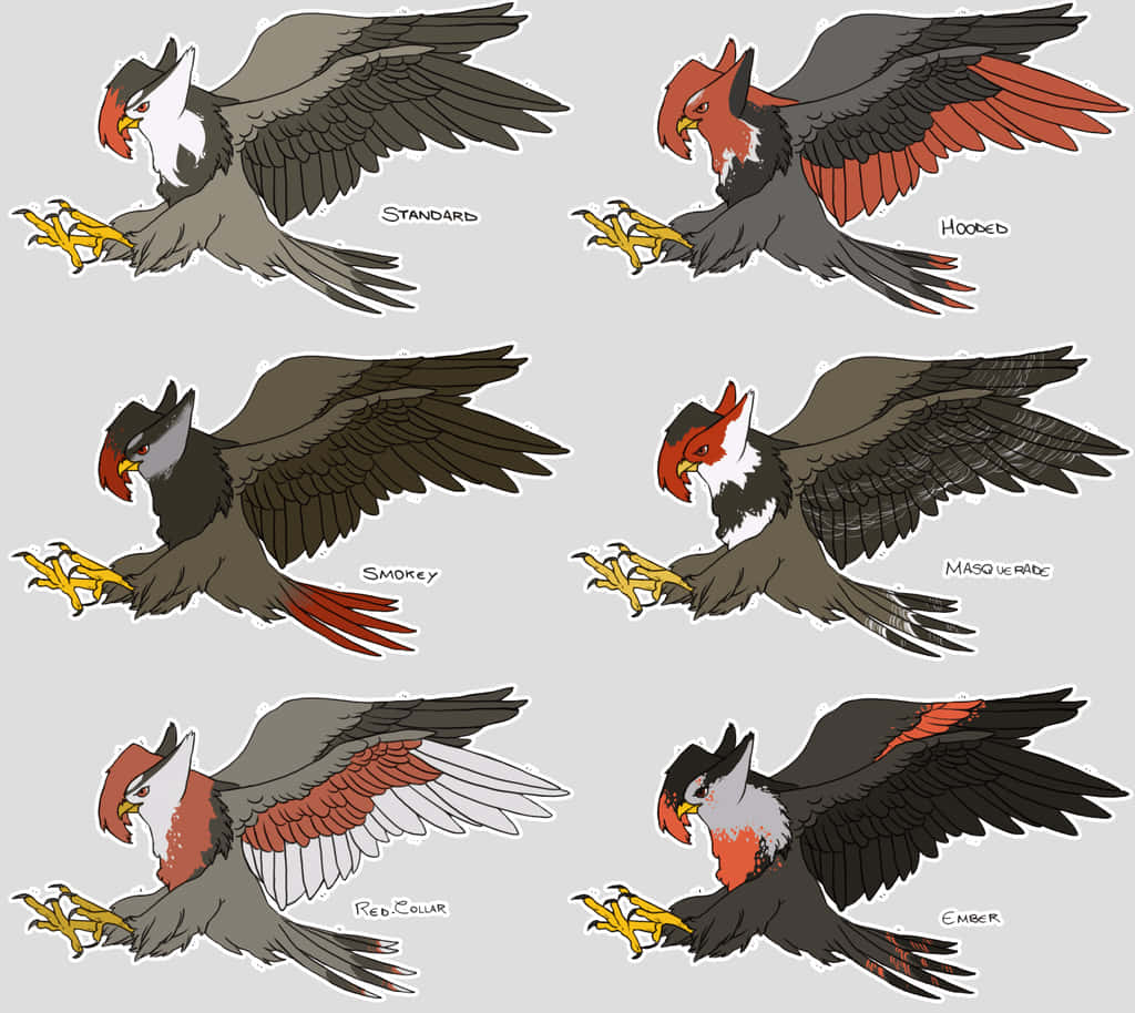 Elegant Staraptor In Flight Background