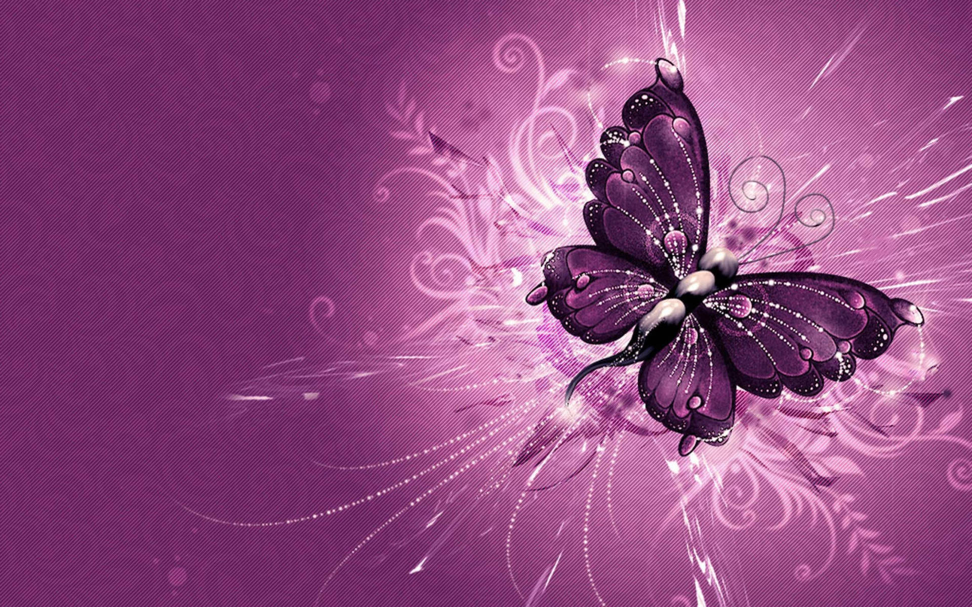 Elegant Violet Butterfly Background