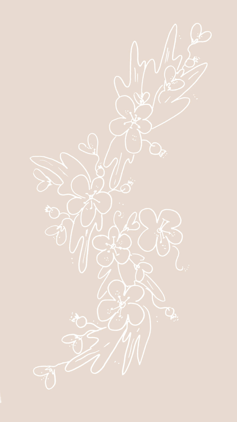 Elegant White Floral Design Background