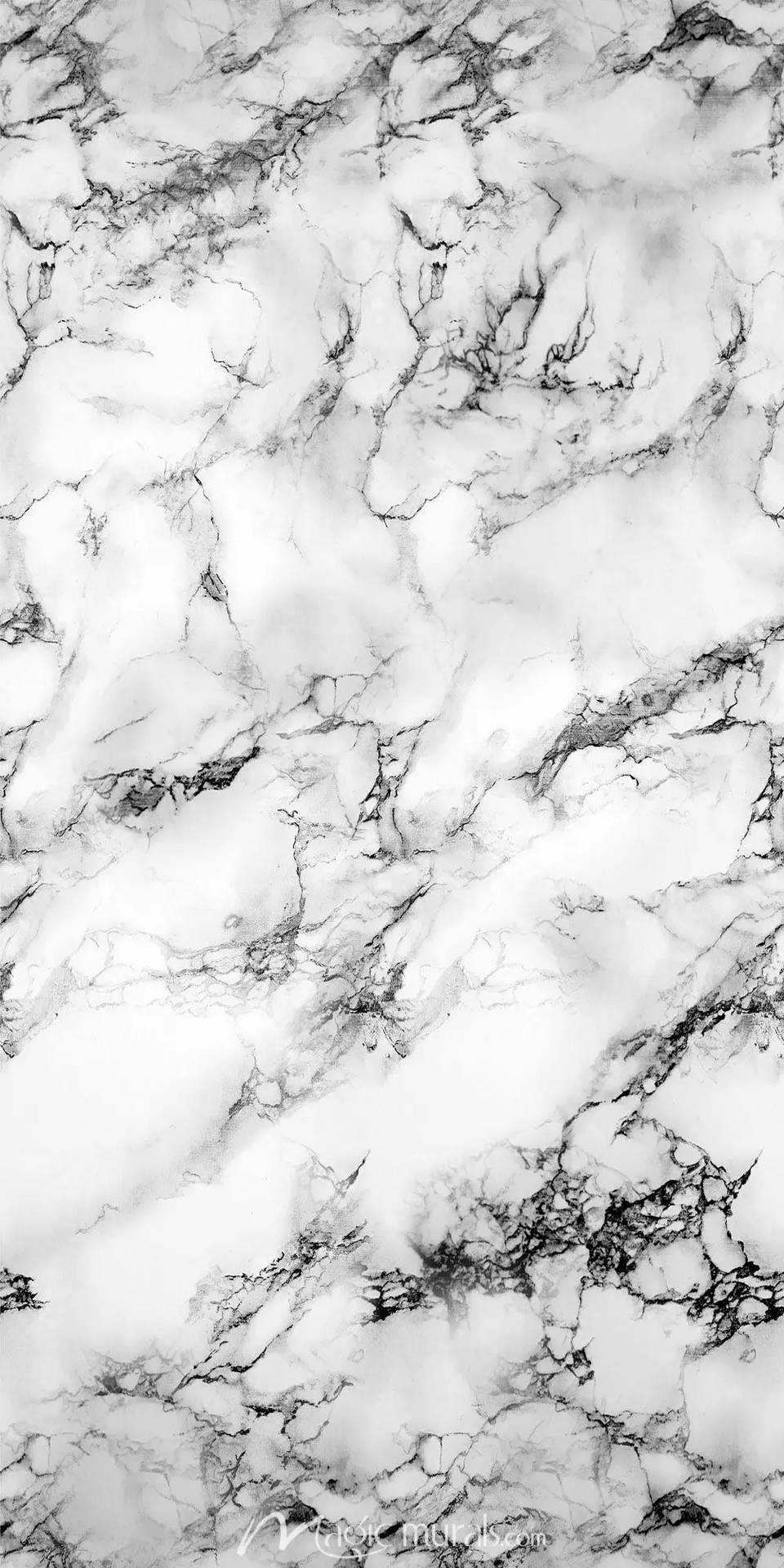 Elegant White Marble Hd Texture Background