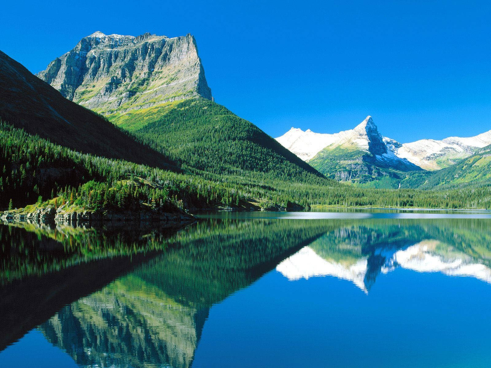 Elements Of Glacier National Park Background