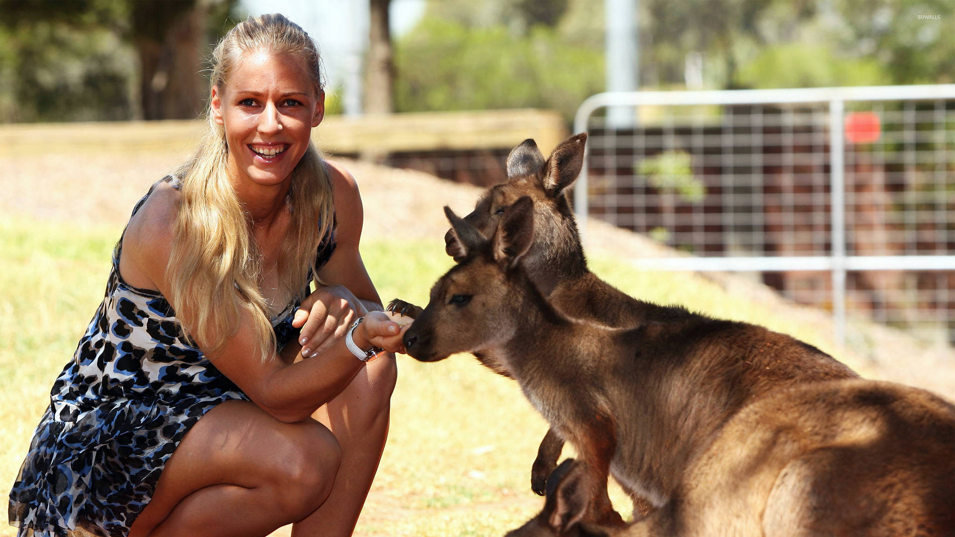 Elena Dementieva With Kangaroos Background