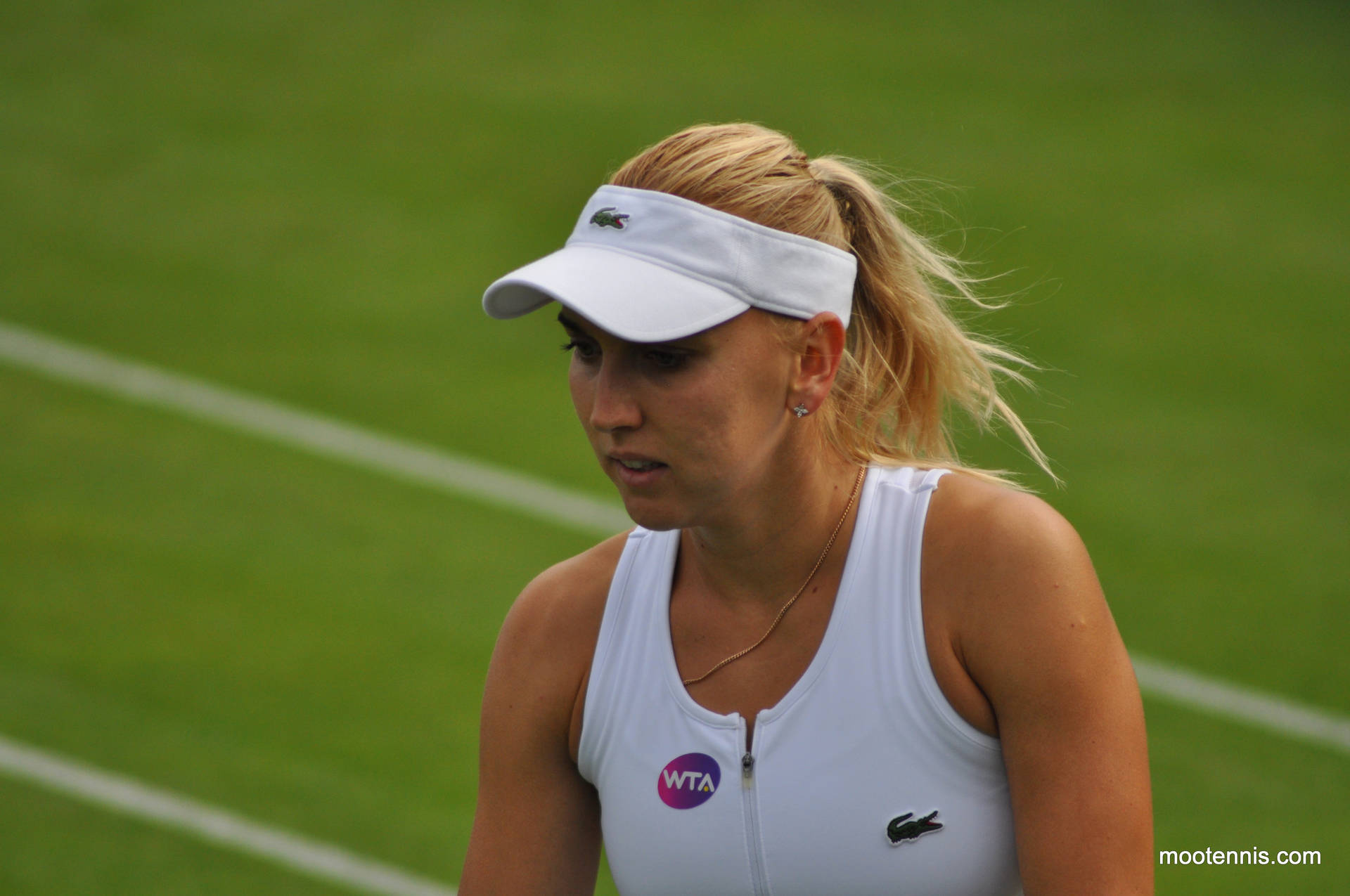 Elena Vesnina Inside Tennis Court Background