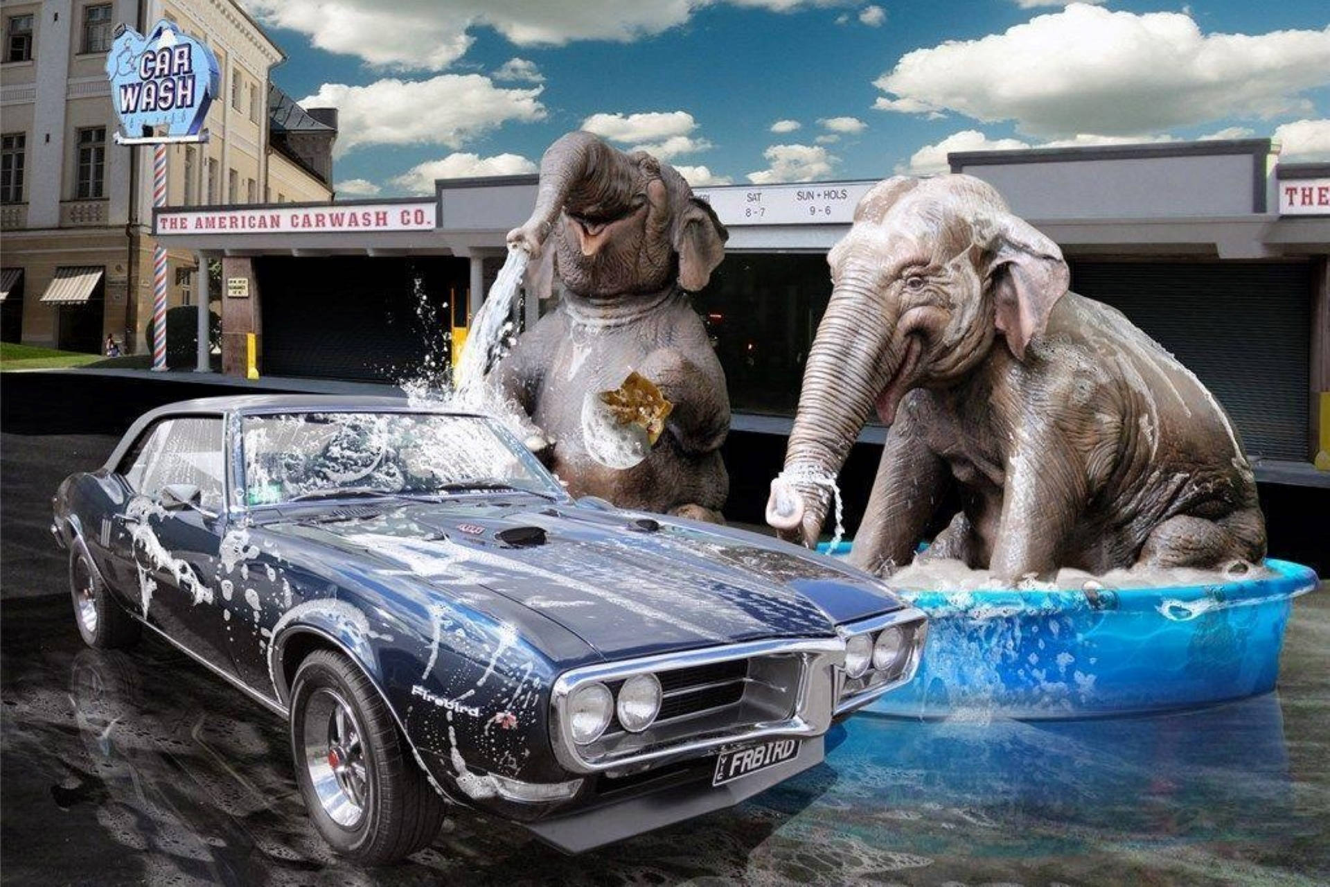 Elephant Car Wash 3d Art