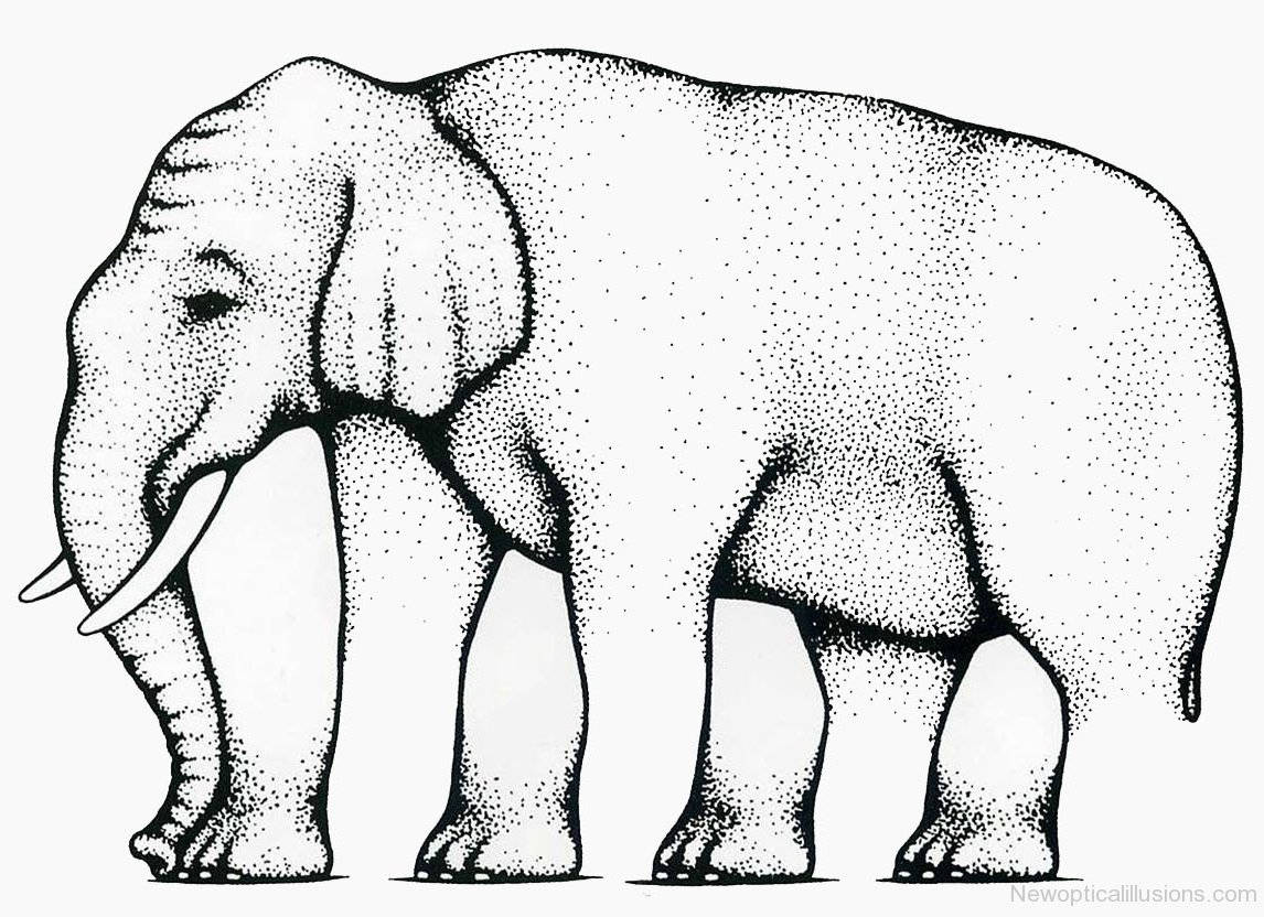 Elephant Illustration With Ambiguous Legs Background