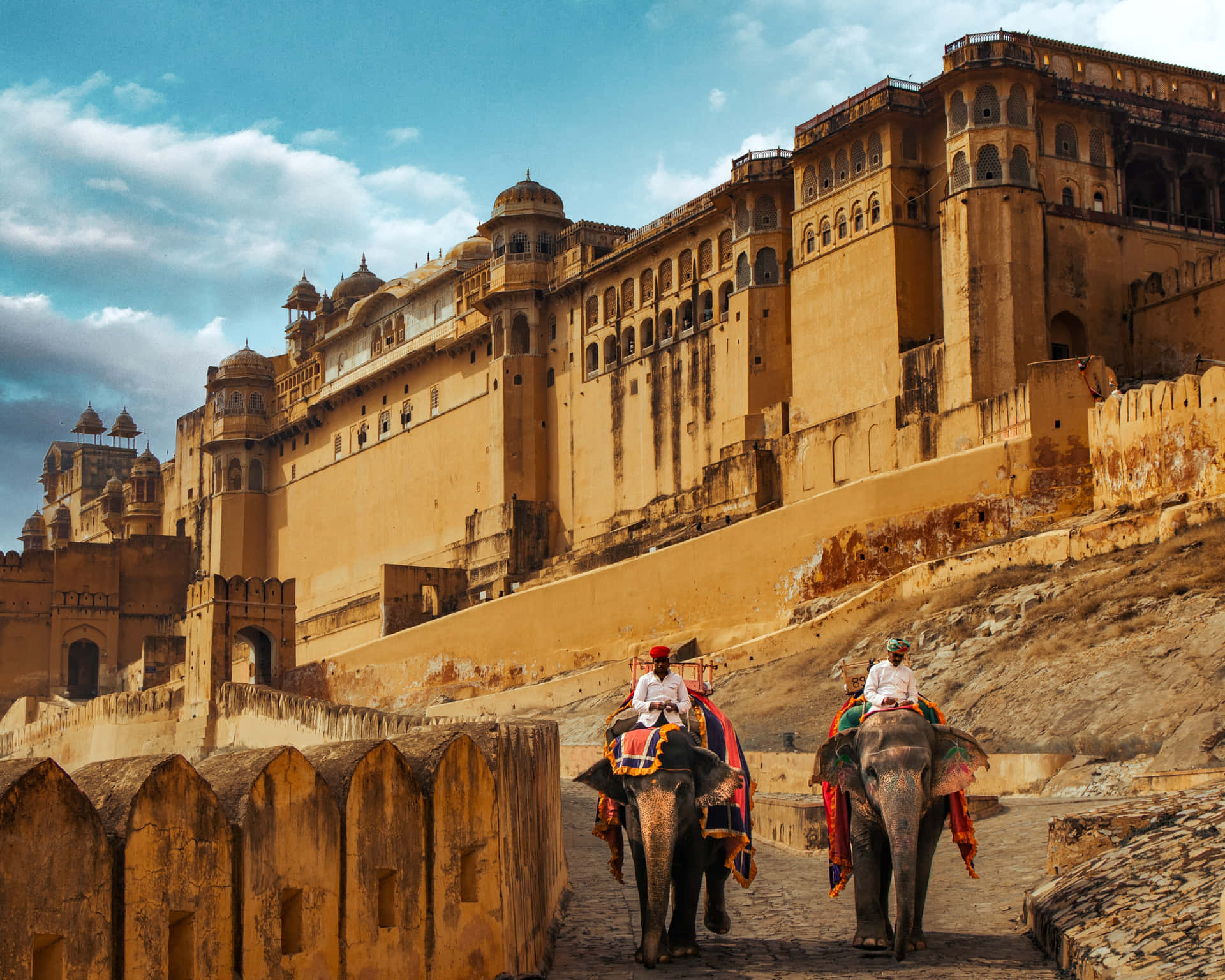 Elephants In Amer Fort Background
