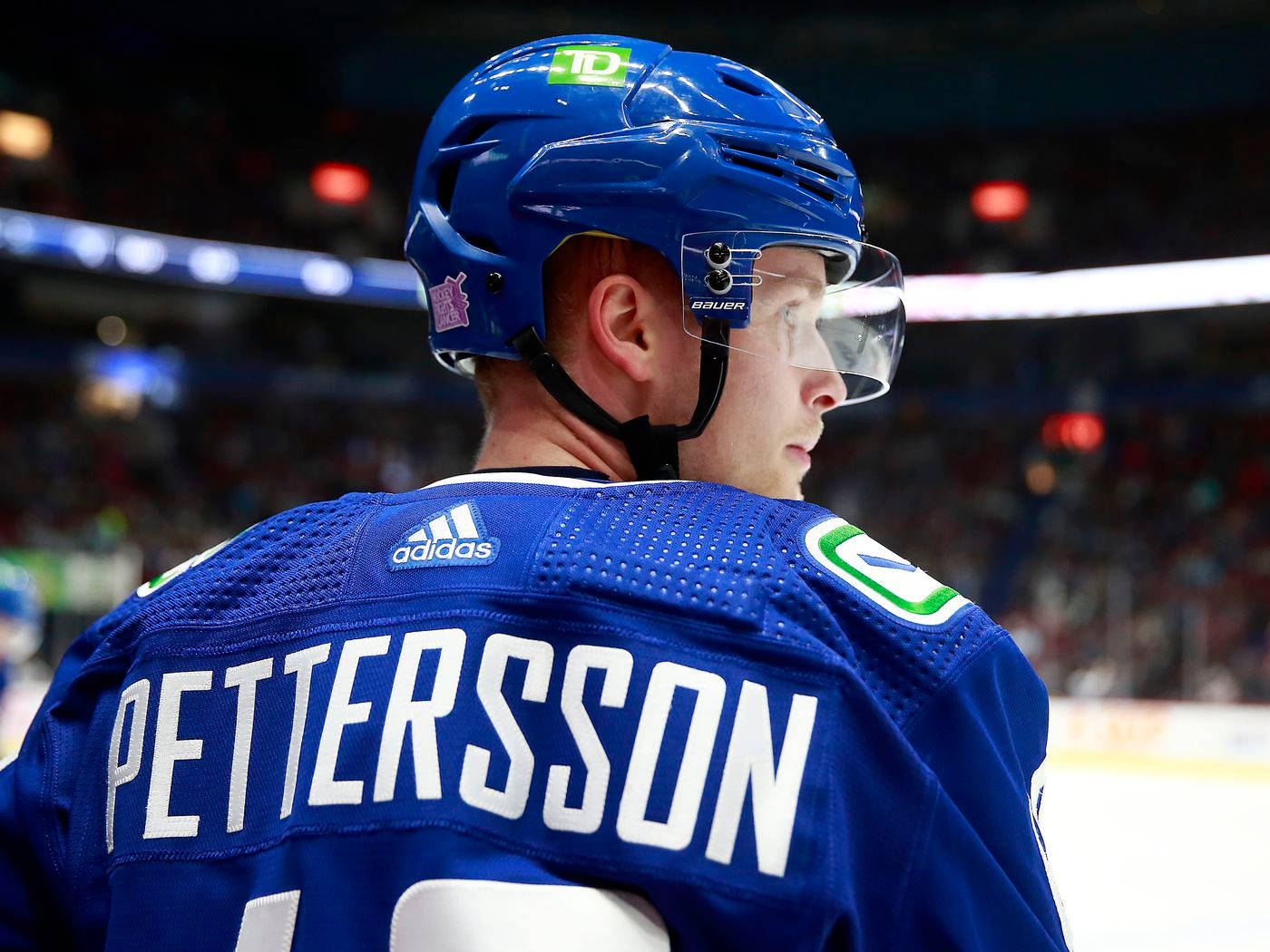 Elias Pettersson Vancouver Canucks Versus New York Rangers Background