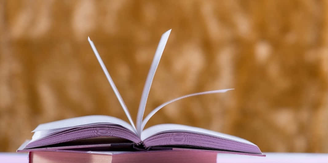 Eligible Open Book Exam Background