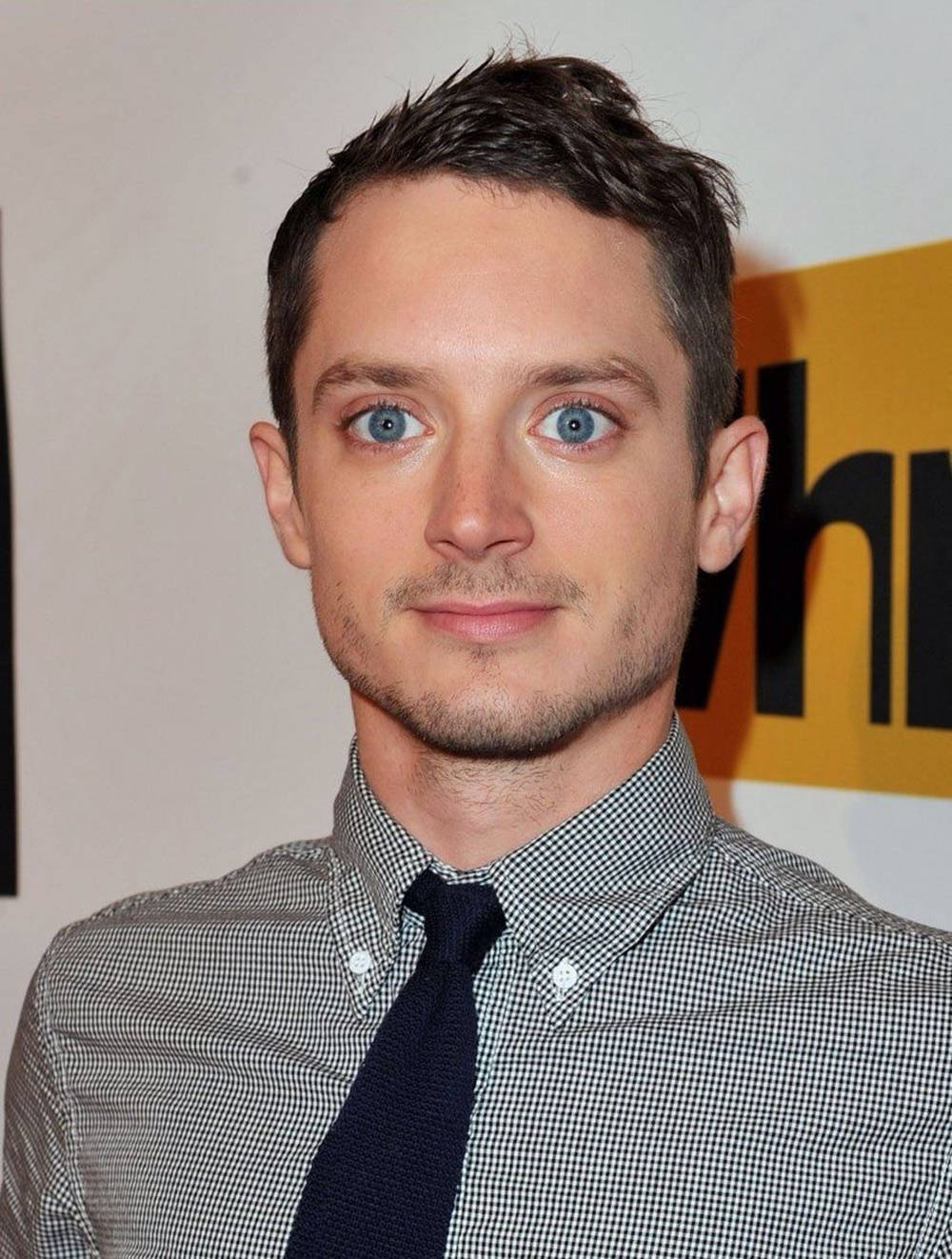 Elijah Wood Button Down Long Sleeve With Necktie