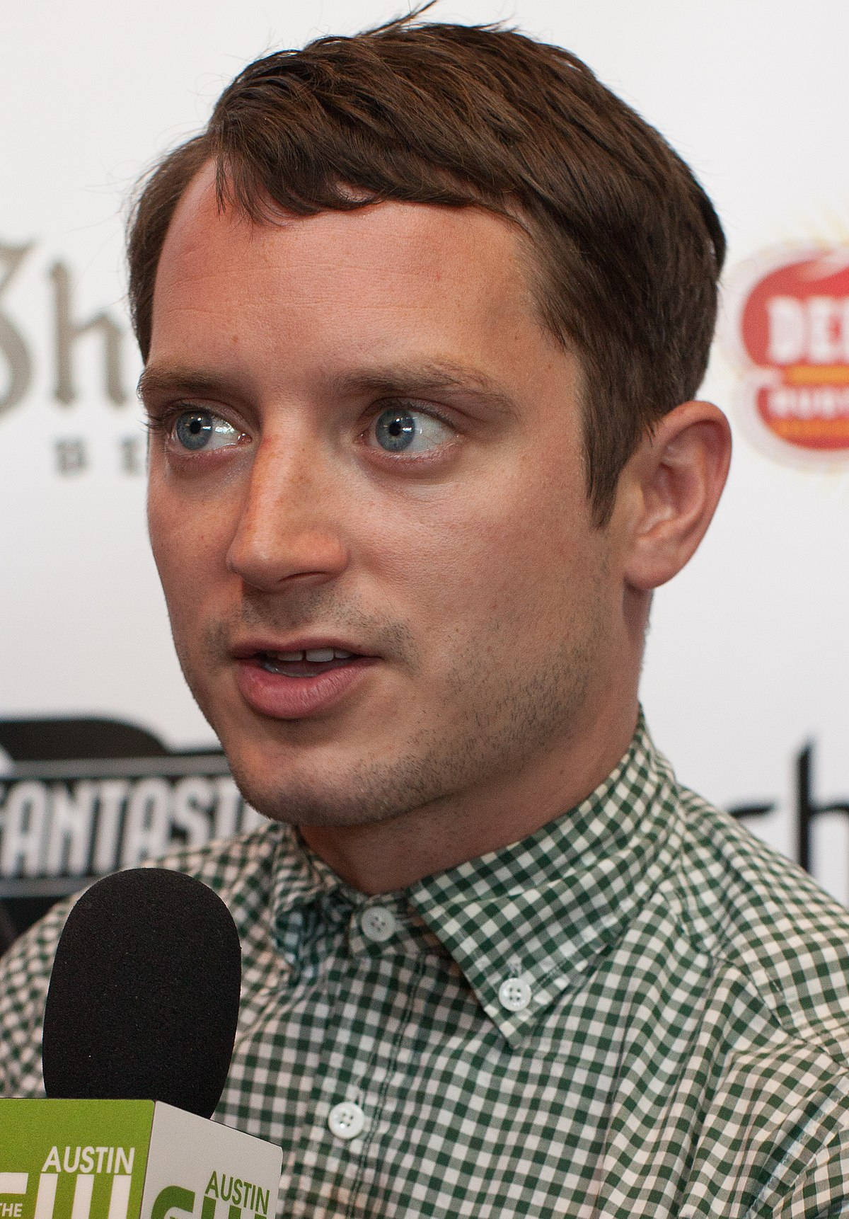 Elijah Wood In An Interview Background