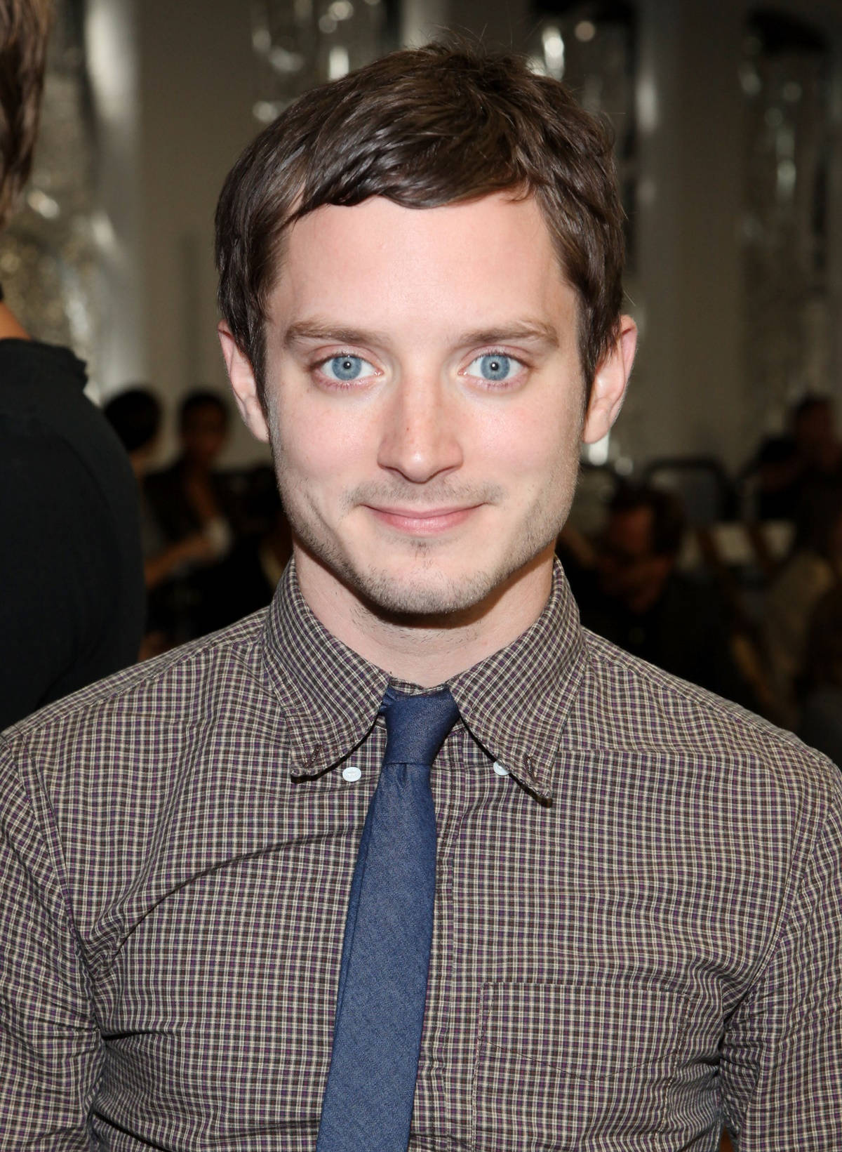 Elijah Wood In Brown Checkered Long Sleeve With Necktie Background