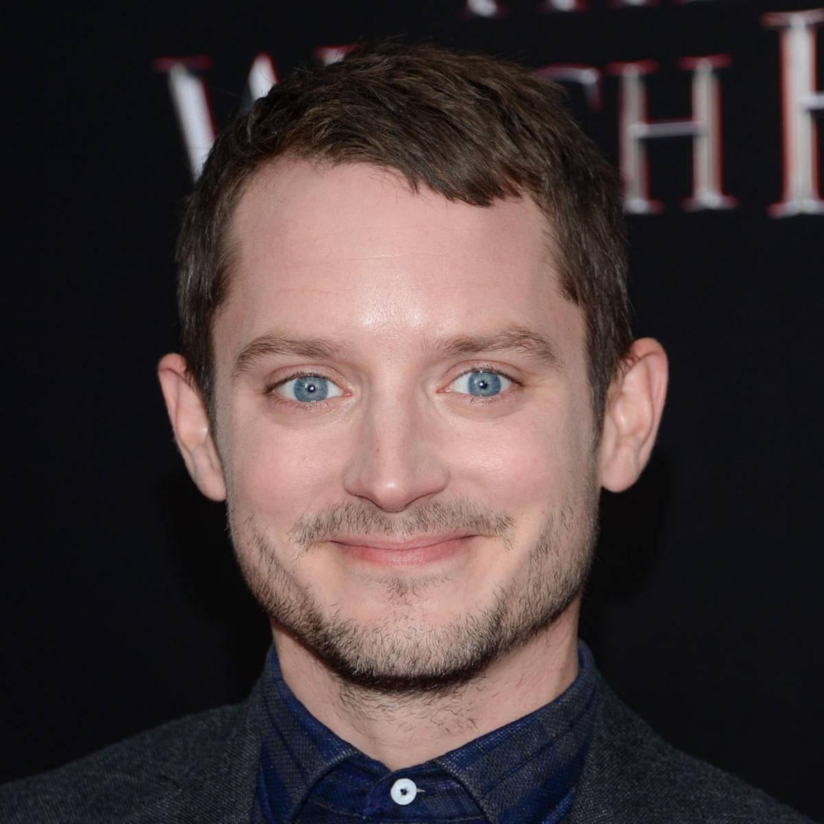 Elijah Wood Slightly Grinning Background