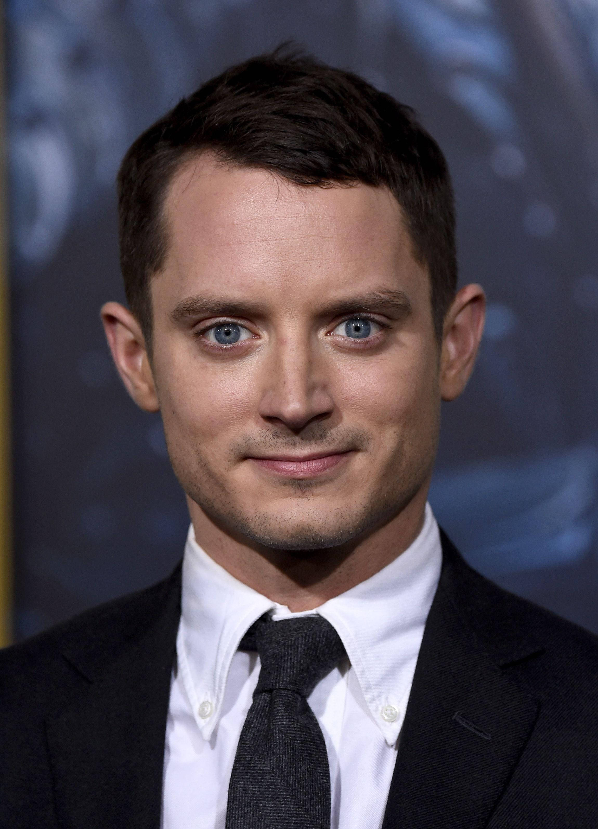 Elijah Wood Wholesome Face Background