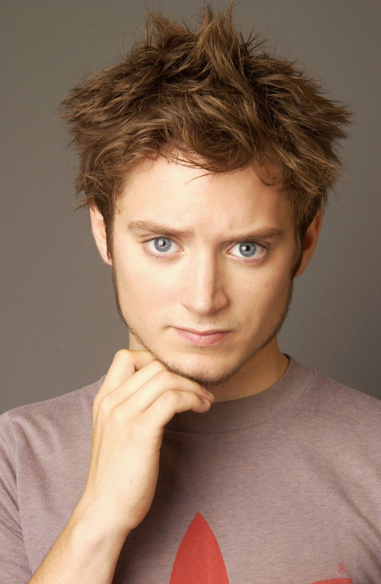 Elijah Wood With A Frizzy Brown Hair Background