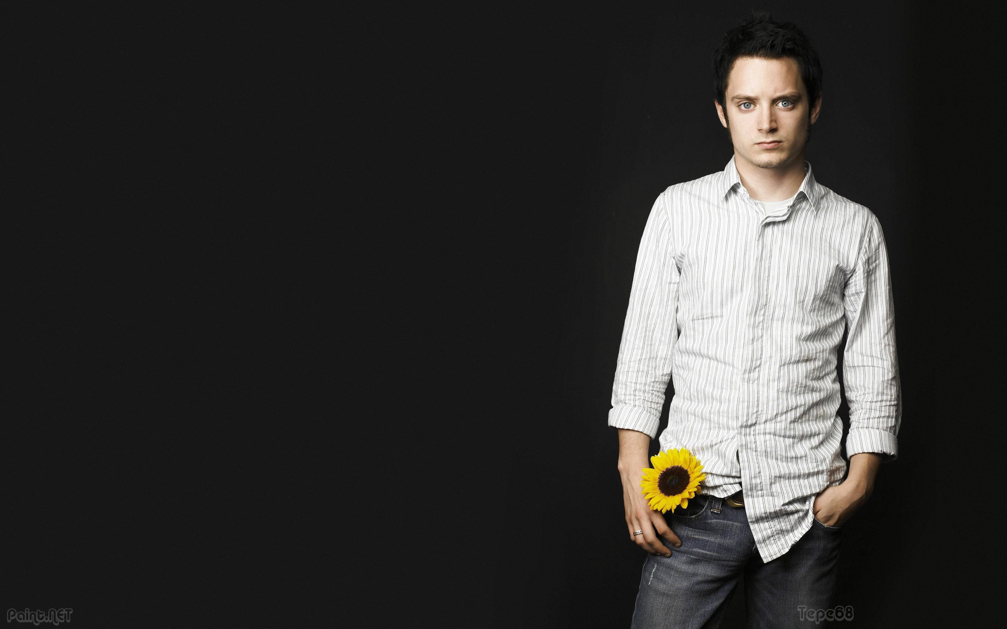 Elijah Wood With A Sunflower Background