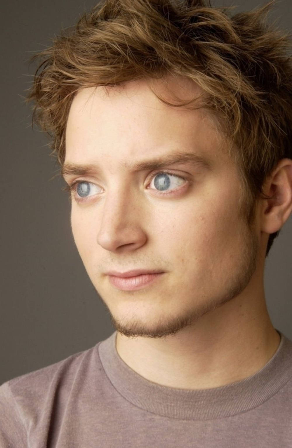 Elijah Wood With His Brown Curls Background