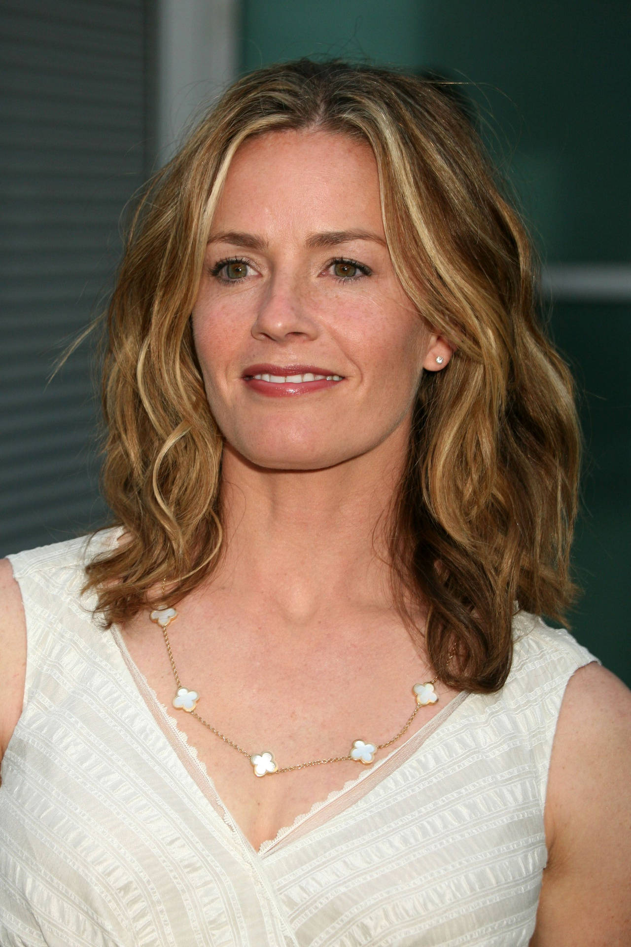 Elisabeth Shue With Dark Blonde Hair While Smiling Background