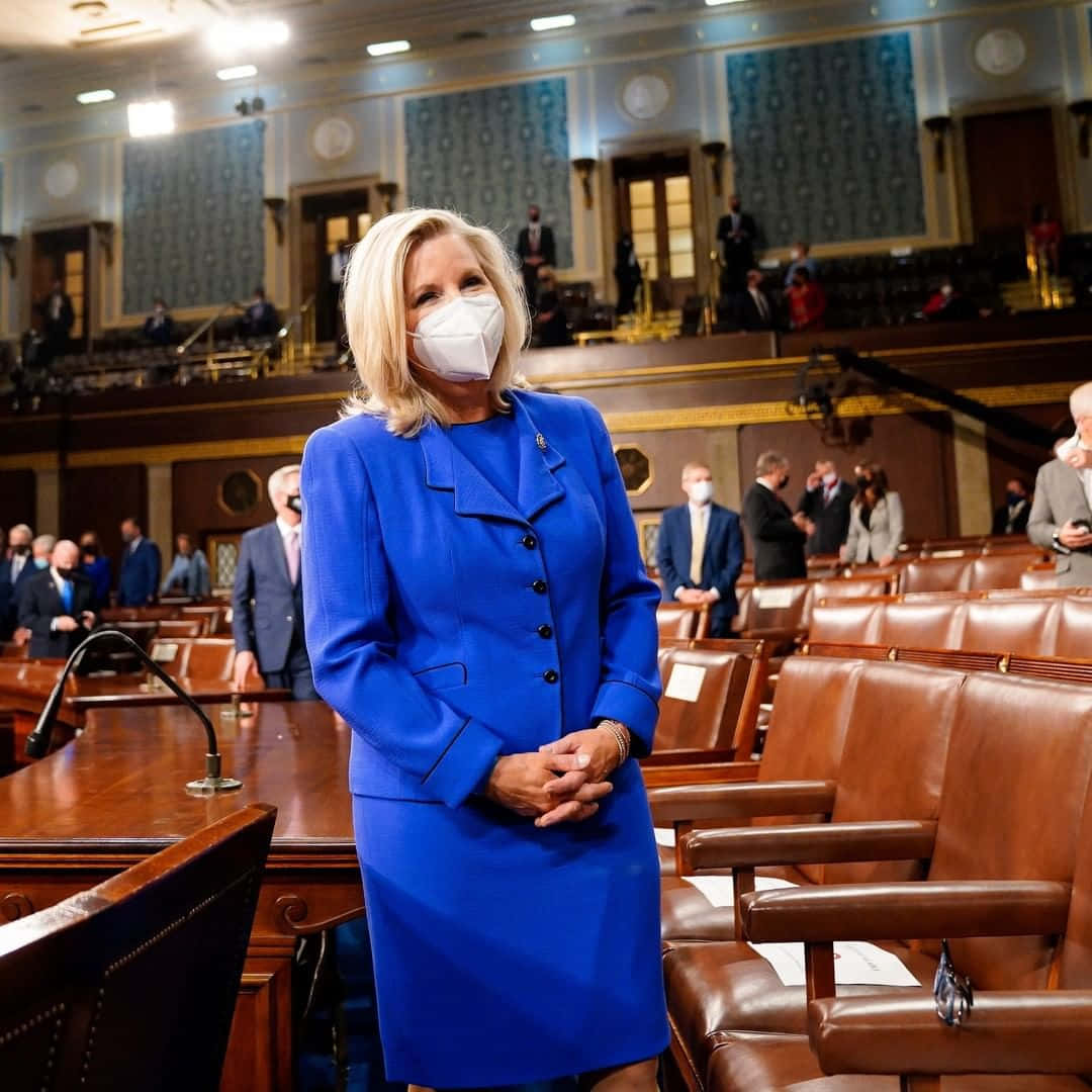 Elizabeth Cheney In House Floor Background