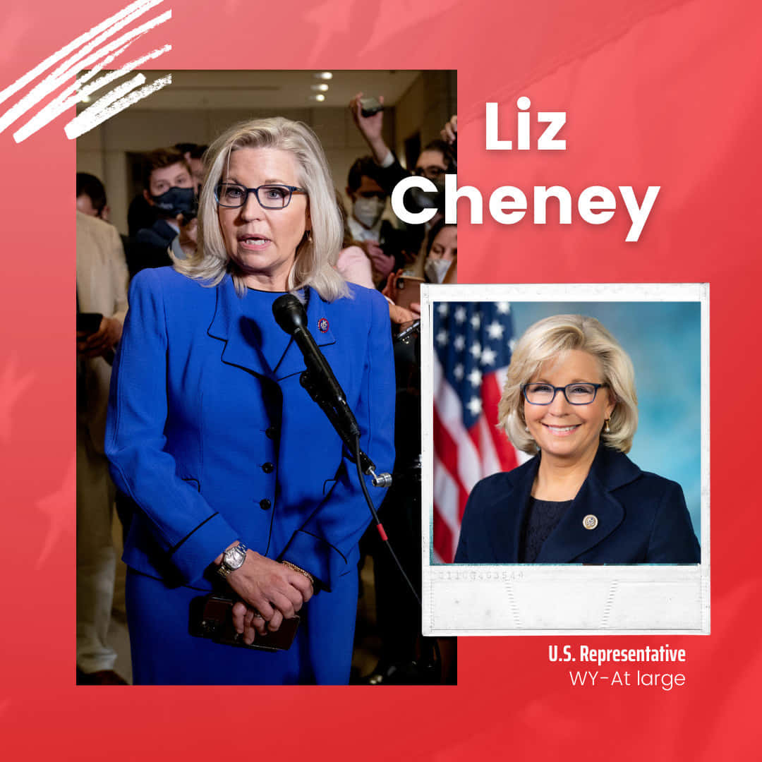 Elizabeth Cheney Representative Poster Background