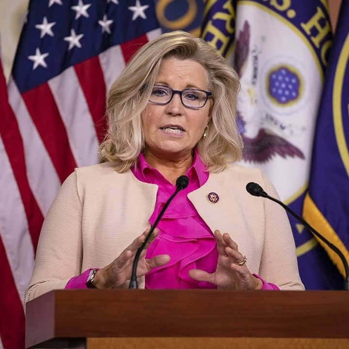 Elizabeth Cheney Speaking Proactively In Press Room Background