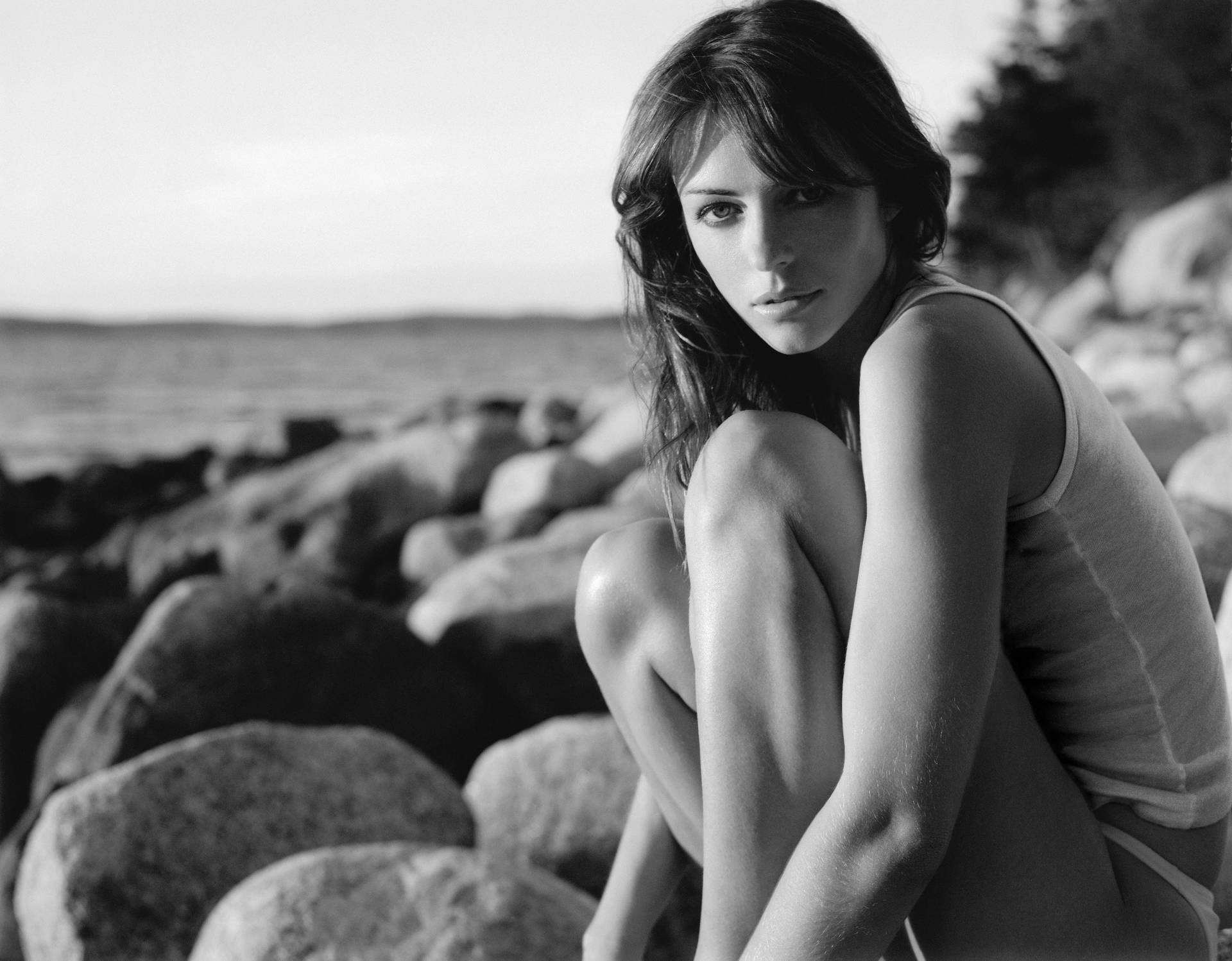 Elizabeth Hurley Monochromic Shot Background