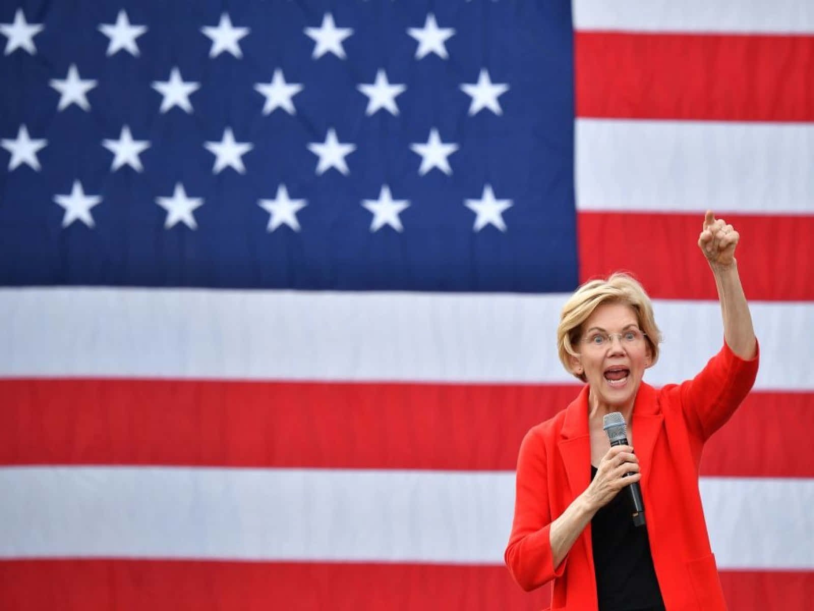 Elizabeth Warren With Raised Fist