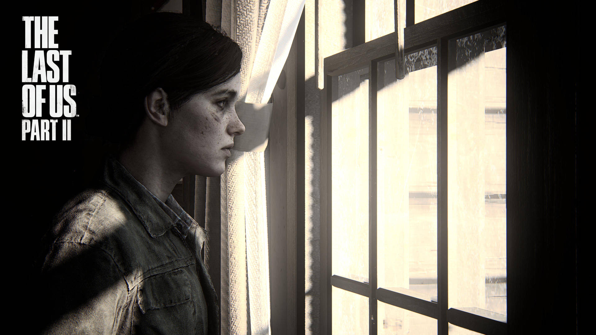 Ellie By The Window In The Last Of Us 4k