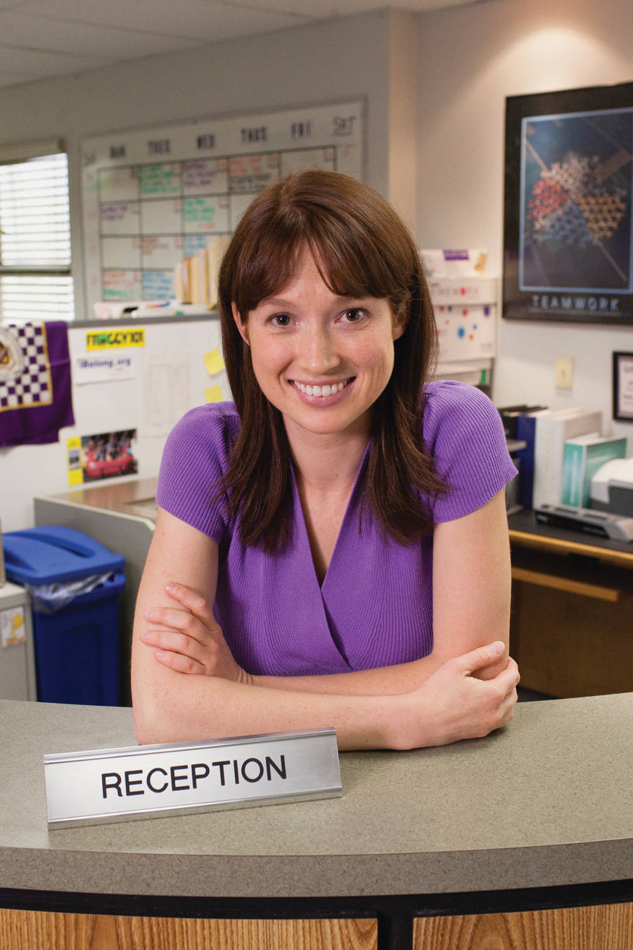 Ellie Kemper Erin Hanon The Office