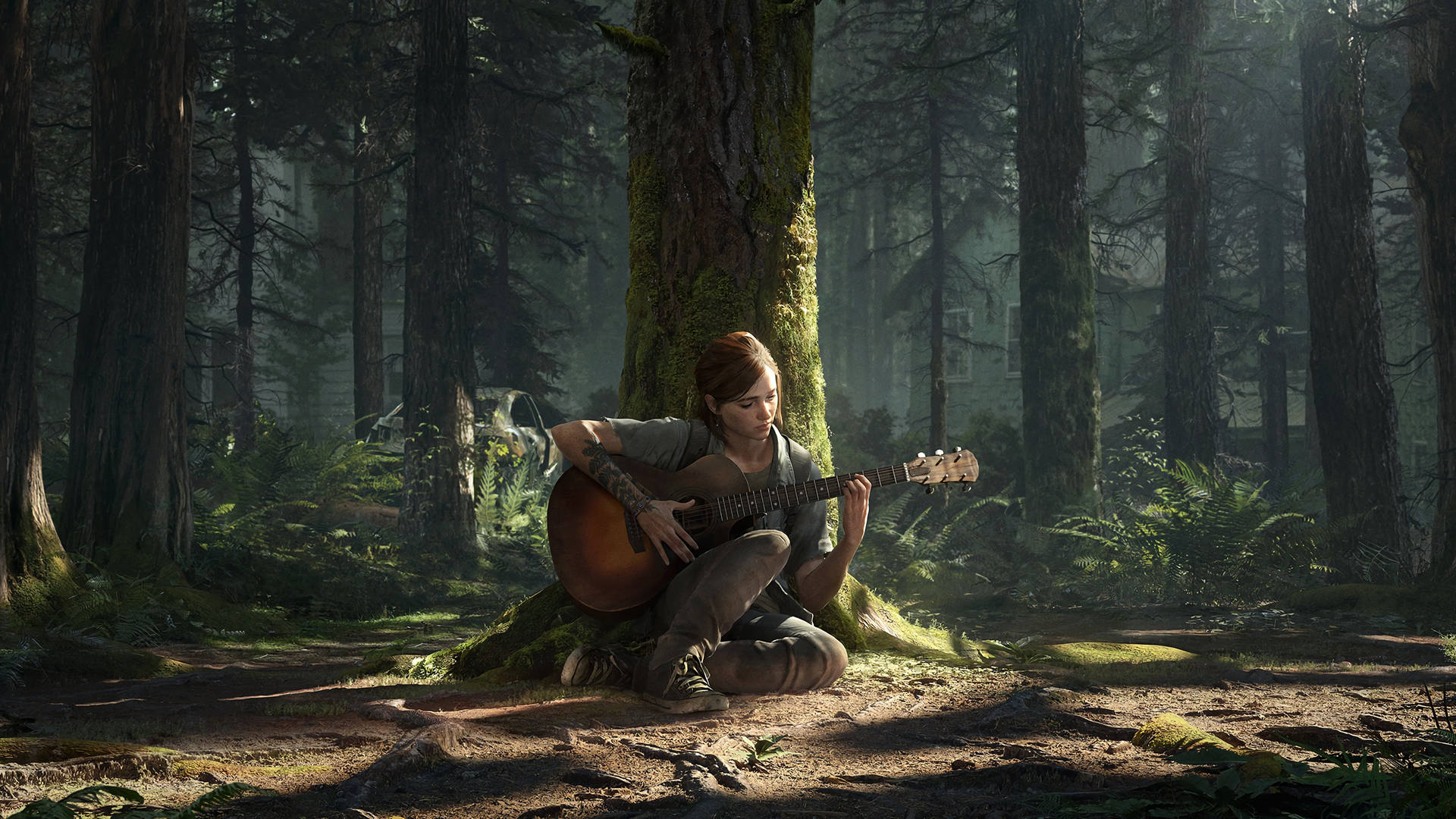 Ellie Strumming Guitar In Woods The Last Of Us 4k Background
