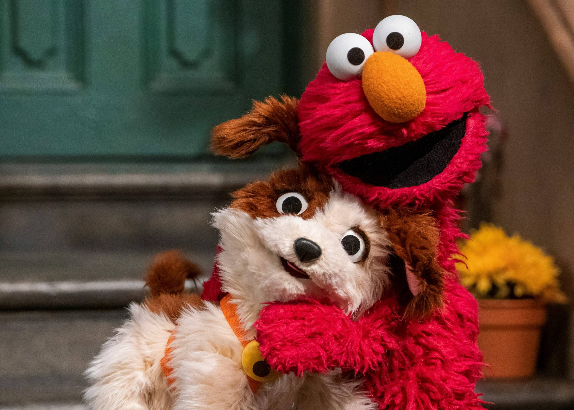 Elmo And His Dog Background