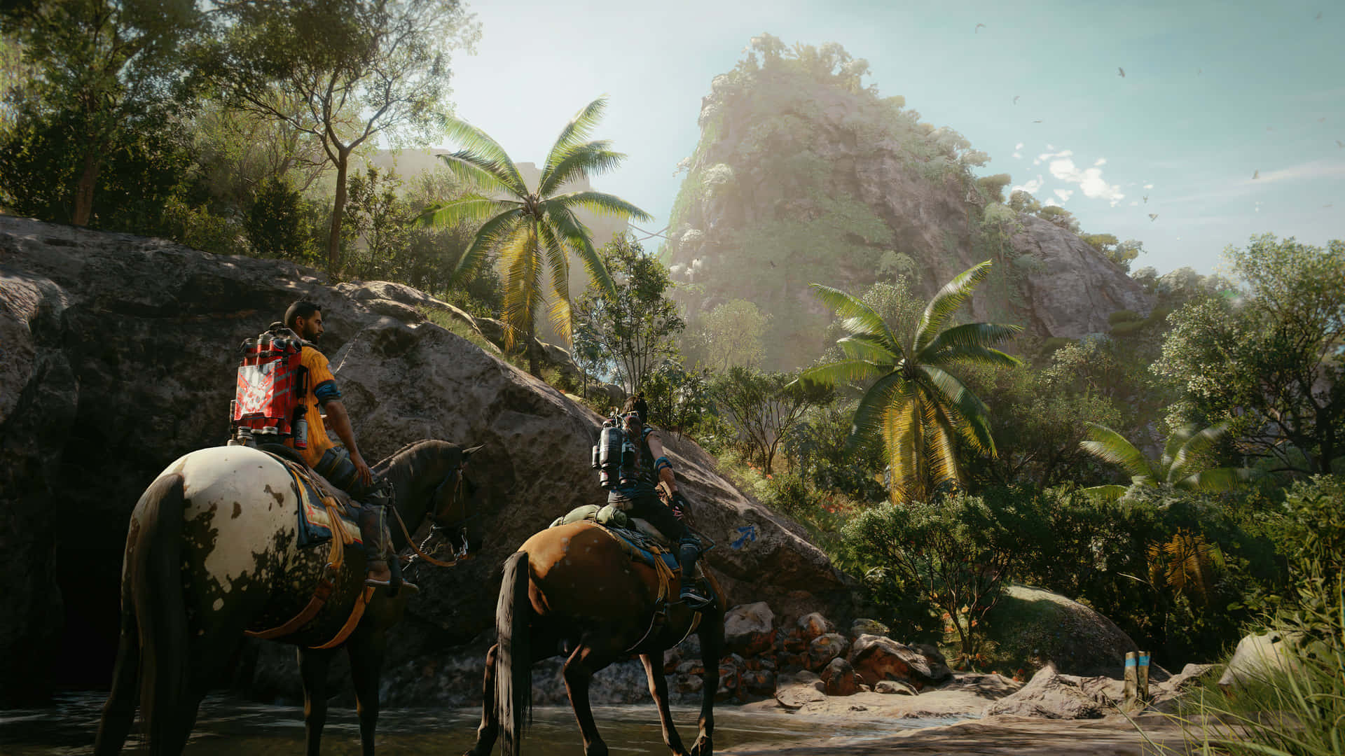 Embark On A New Adventure In Far Cry