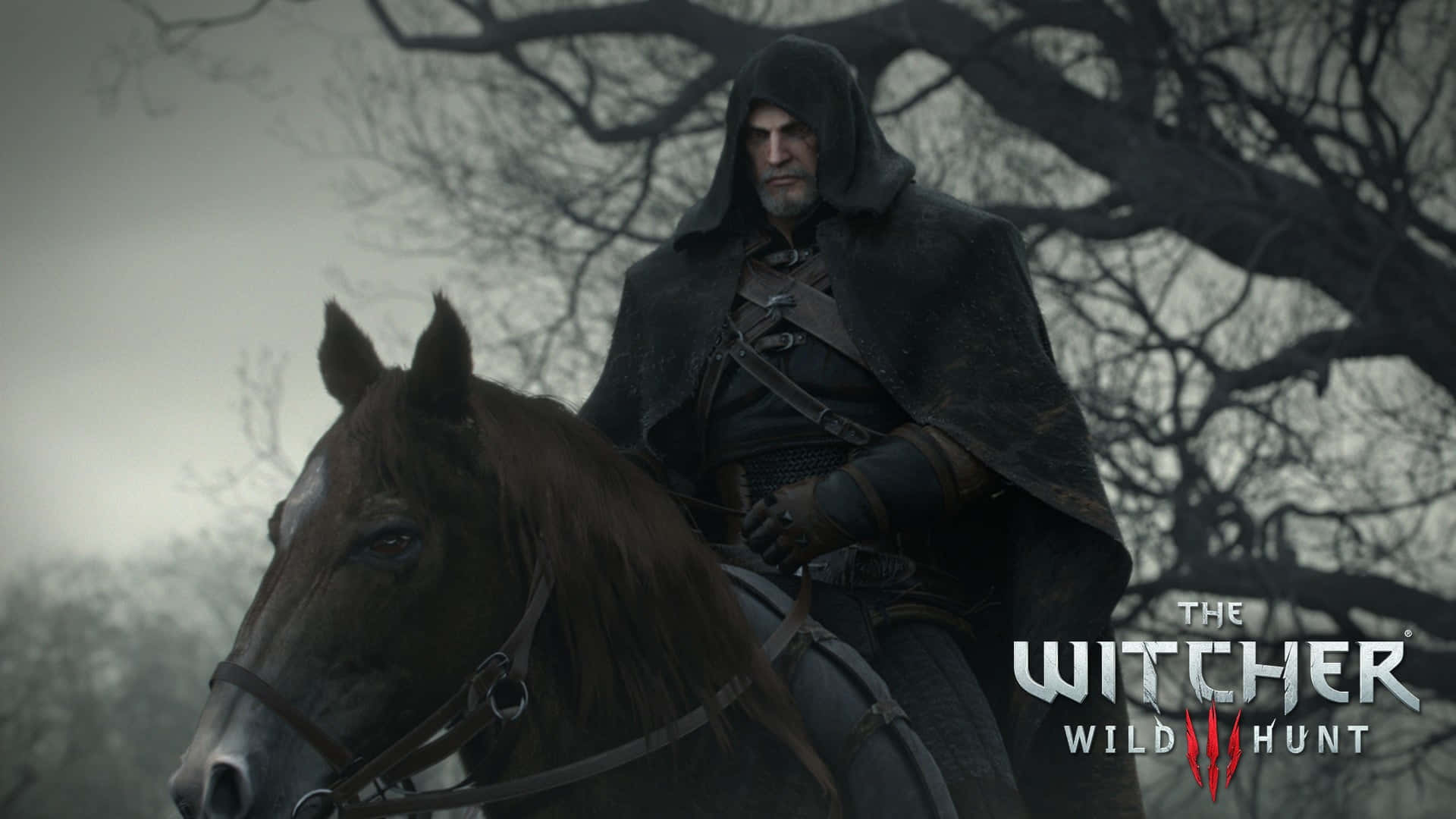 Embark On Adventures In The Witcher 3 Wild Hunt Background