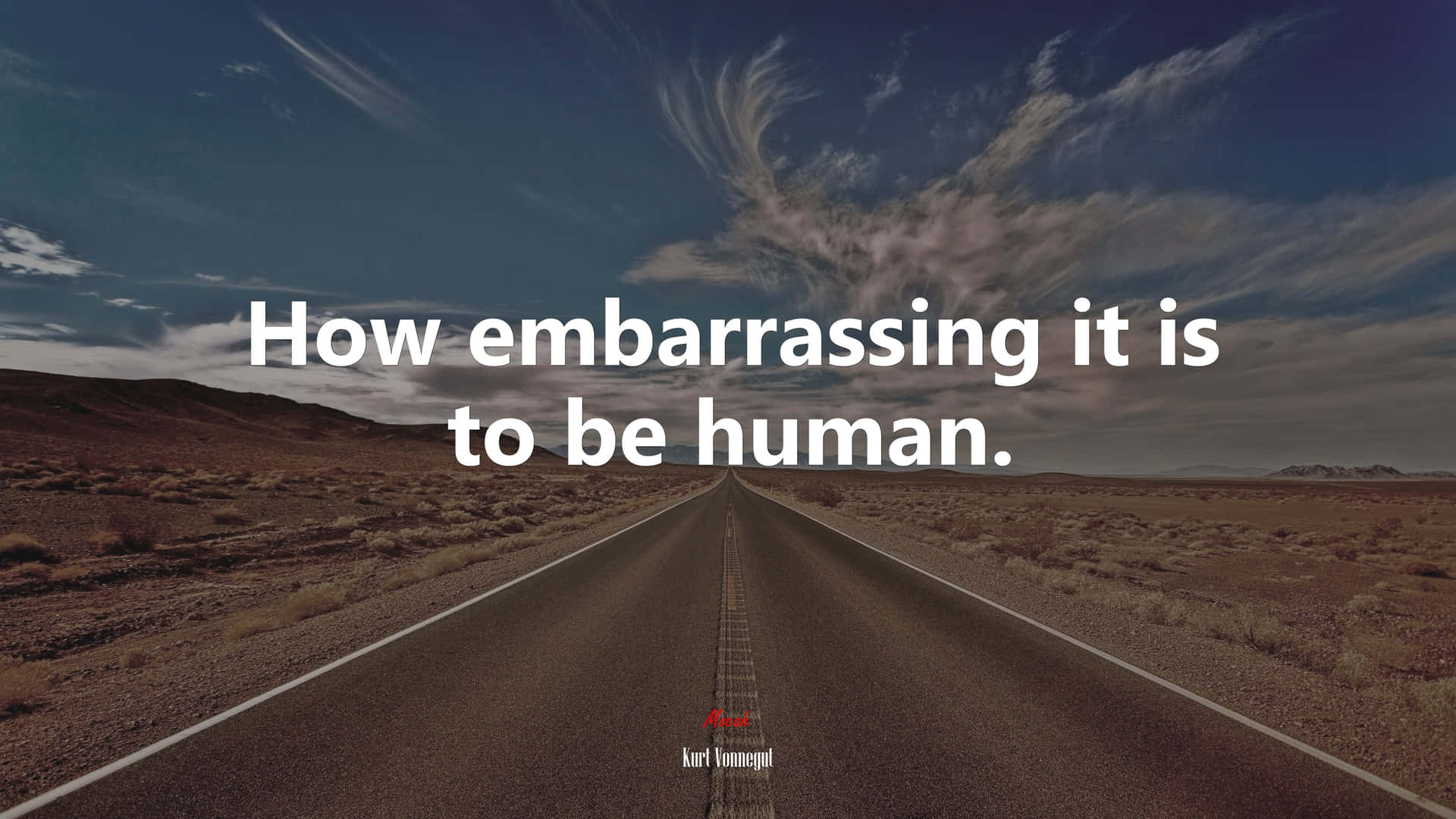 Embarrassing Human Condition Quote