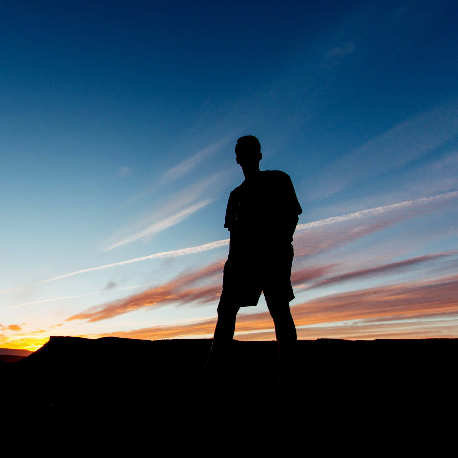 Embodiment Of Loneliness Background