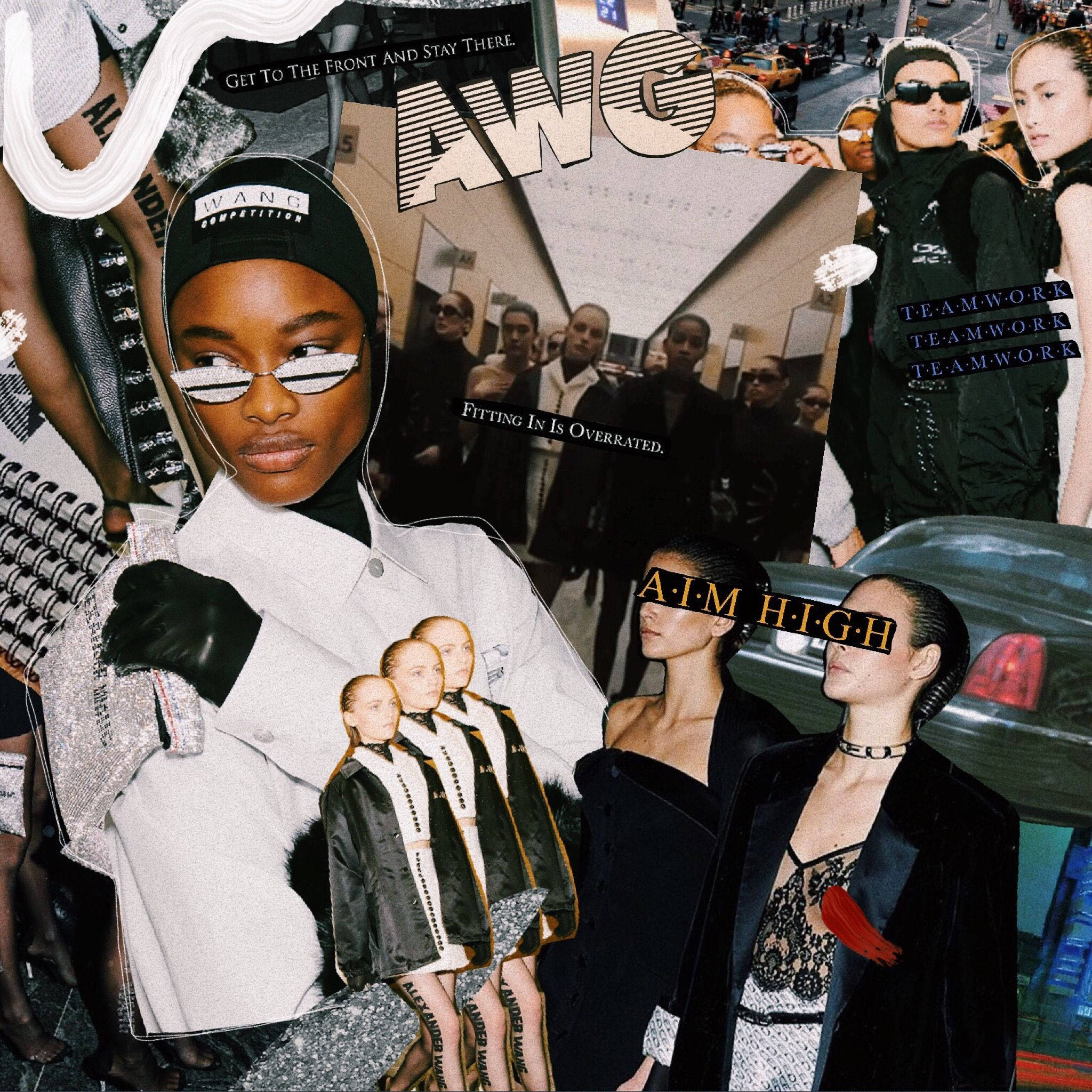 Embodying Alexander Wang's Vision - A Mood Board Collage