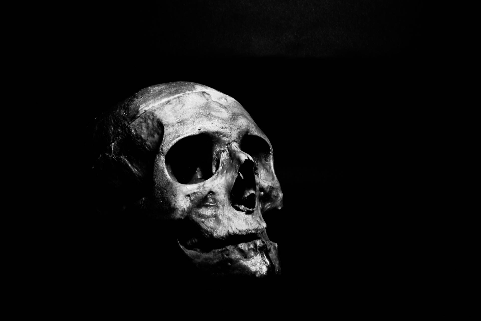 Embodying Melancholy: A Solemn Skull In Solitude Background