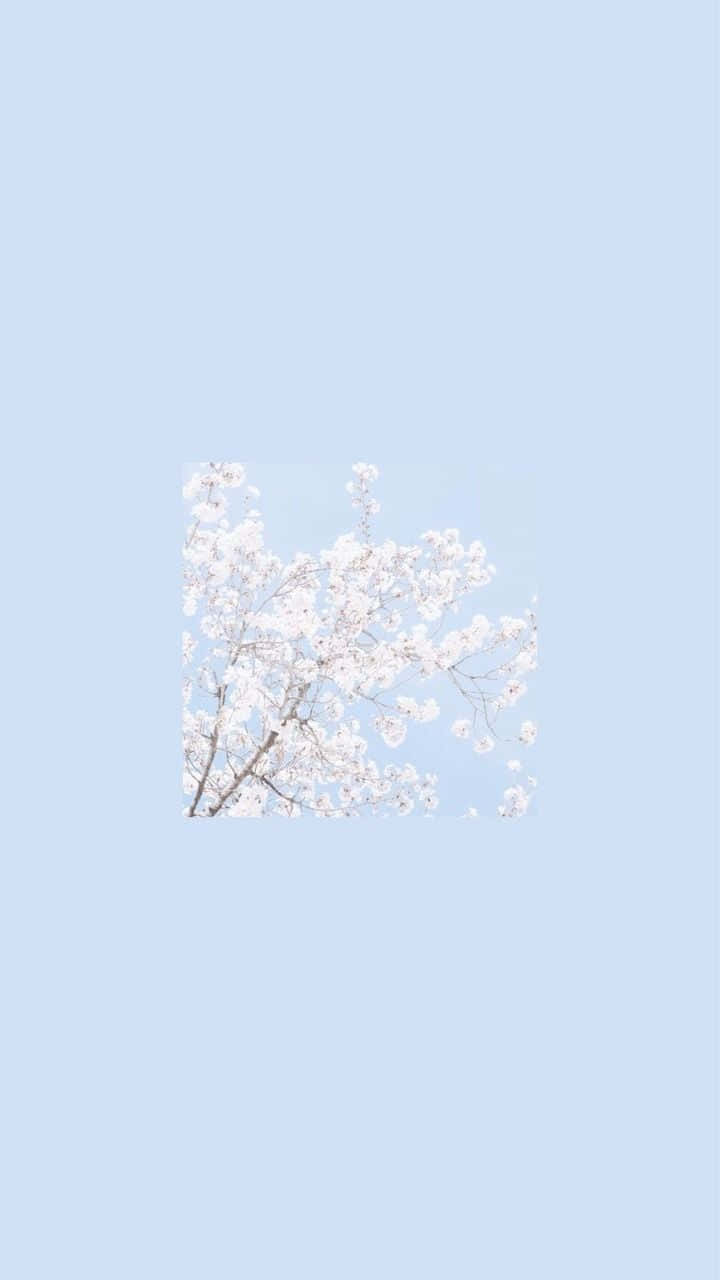 Embodying Simplicity In The Aesthetic One Color Wallpaper Background