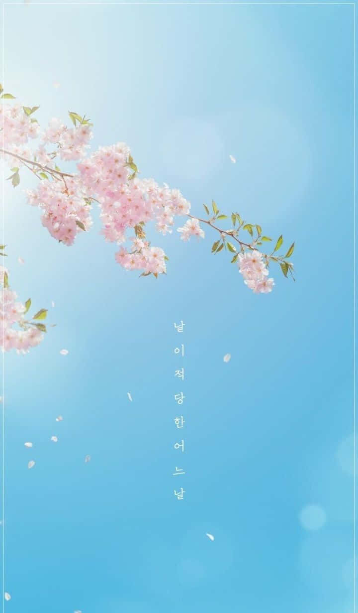 Embrace Beauty With A Touch Of Traditional Aesthetic Korean Background