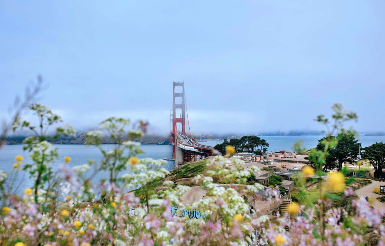 Embrace California's Laidback Summer Vibes