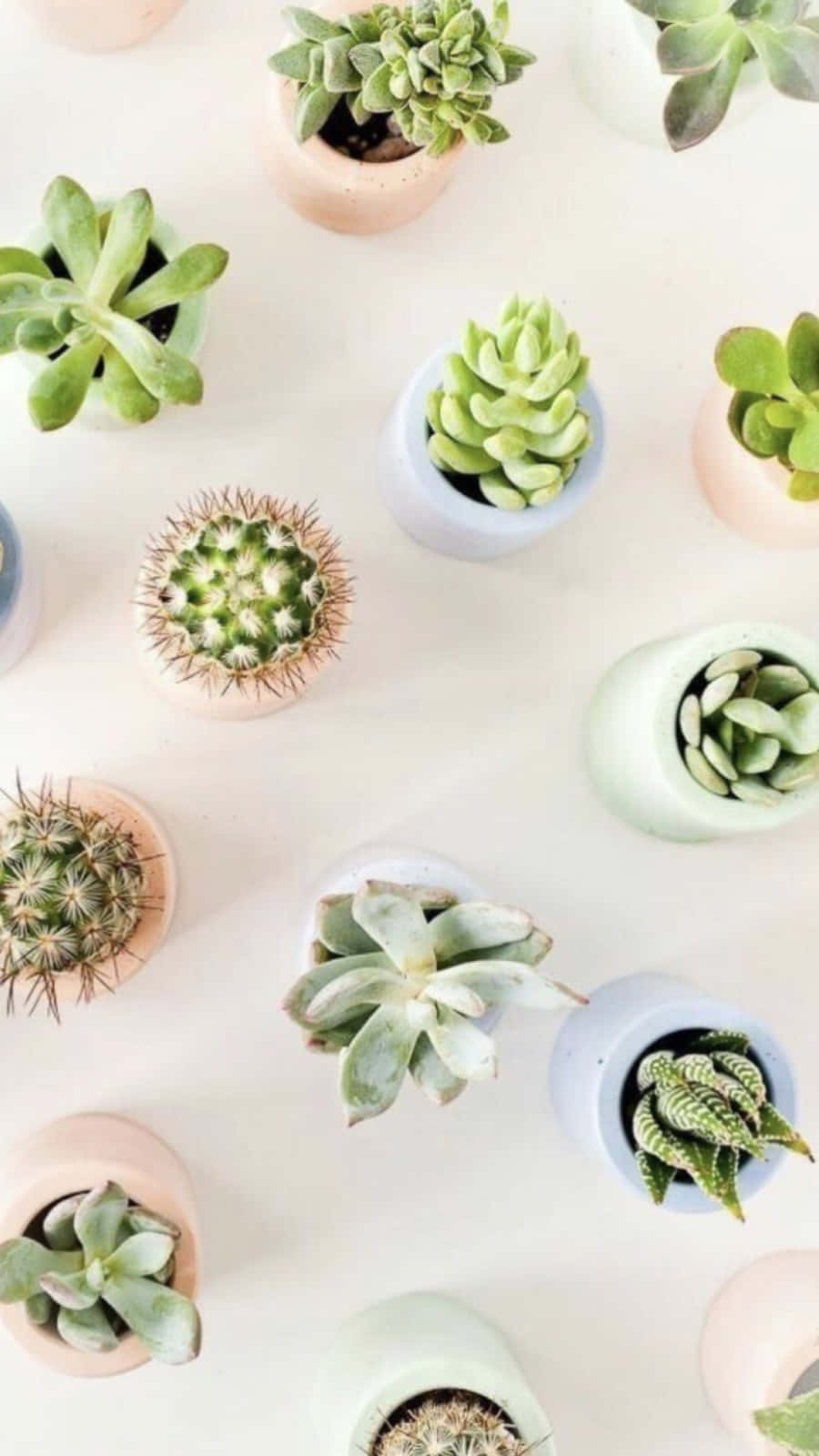 Embrace Nature With Plant Aesthetics Background