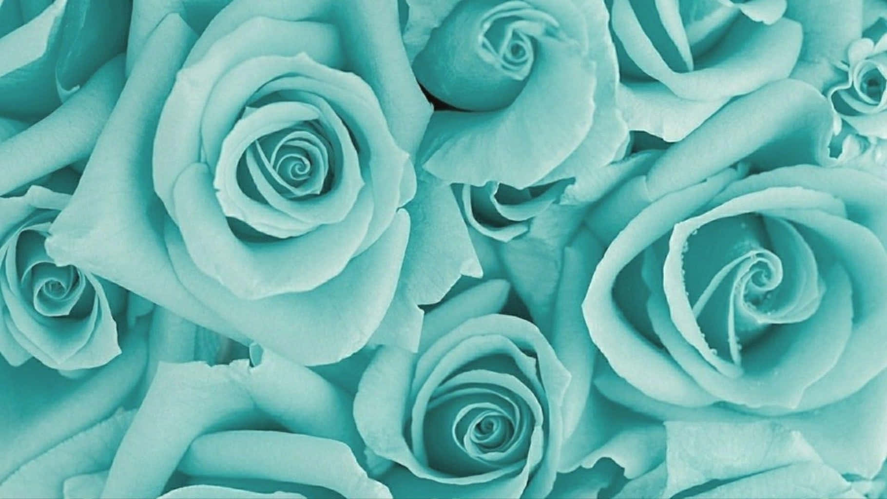Embrace Serenity With Teal Aesthetic Laptop Background