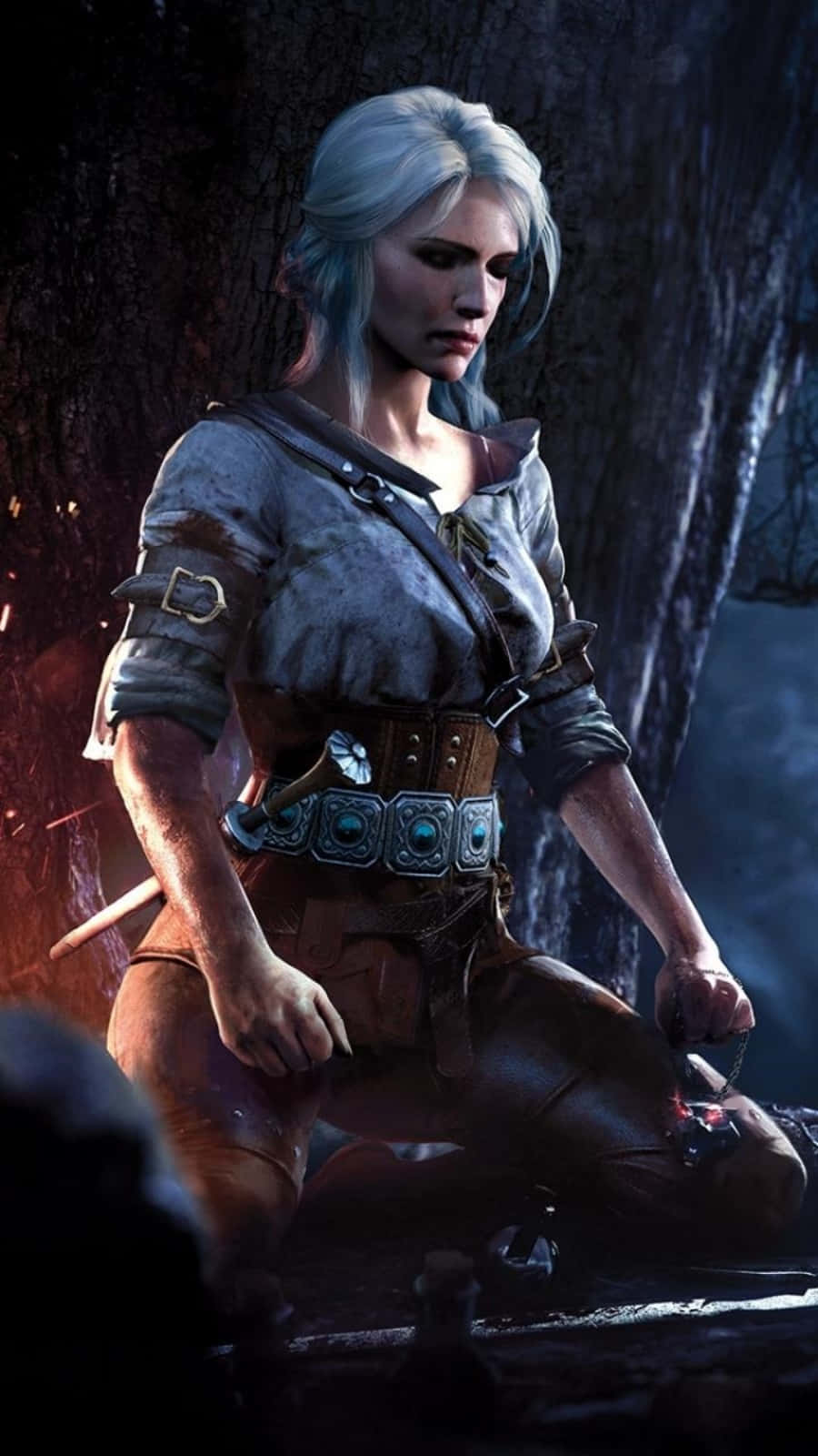 Embrace The Adventure Of The Witcher 3 Background