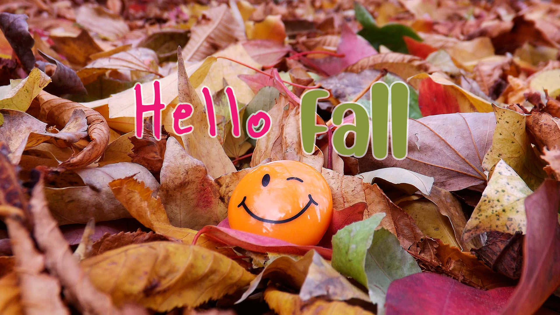 Embrace The Beautiful Colors And Autumnal Hues Of Fall Background