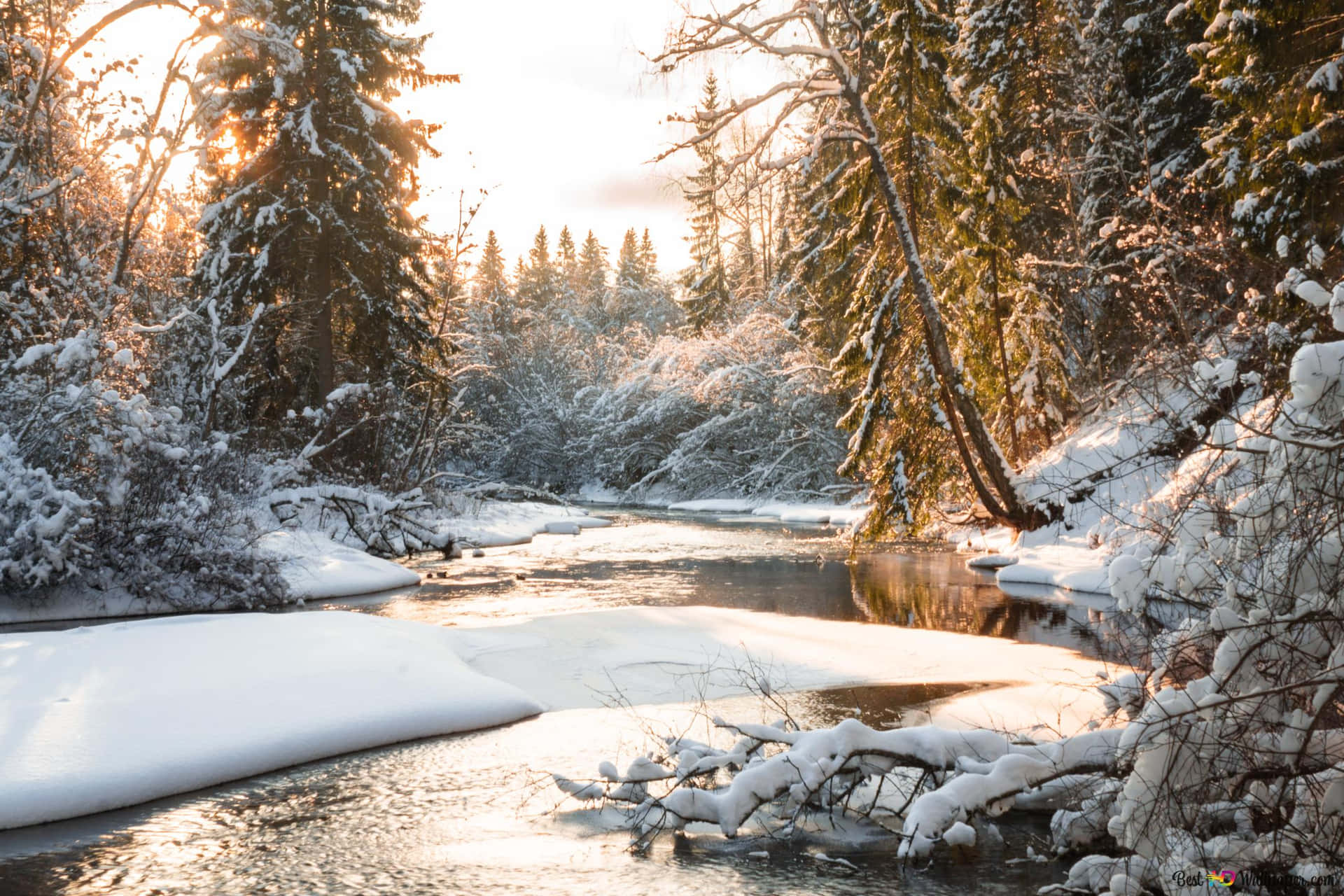 Embrace The Beautiful Winter Background