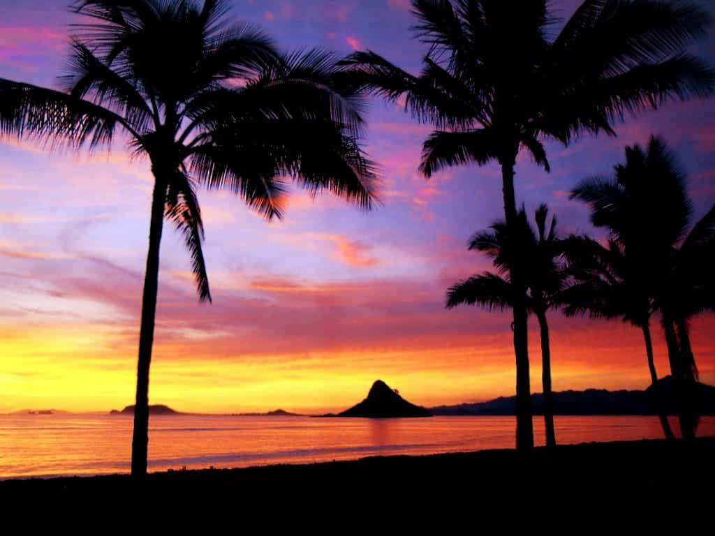 Embrace The Beauty Of A Hawaii Sunset Background