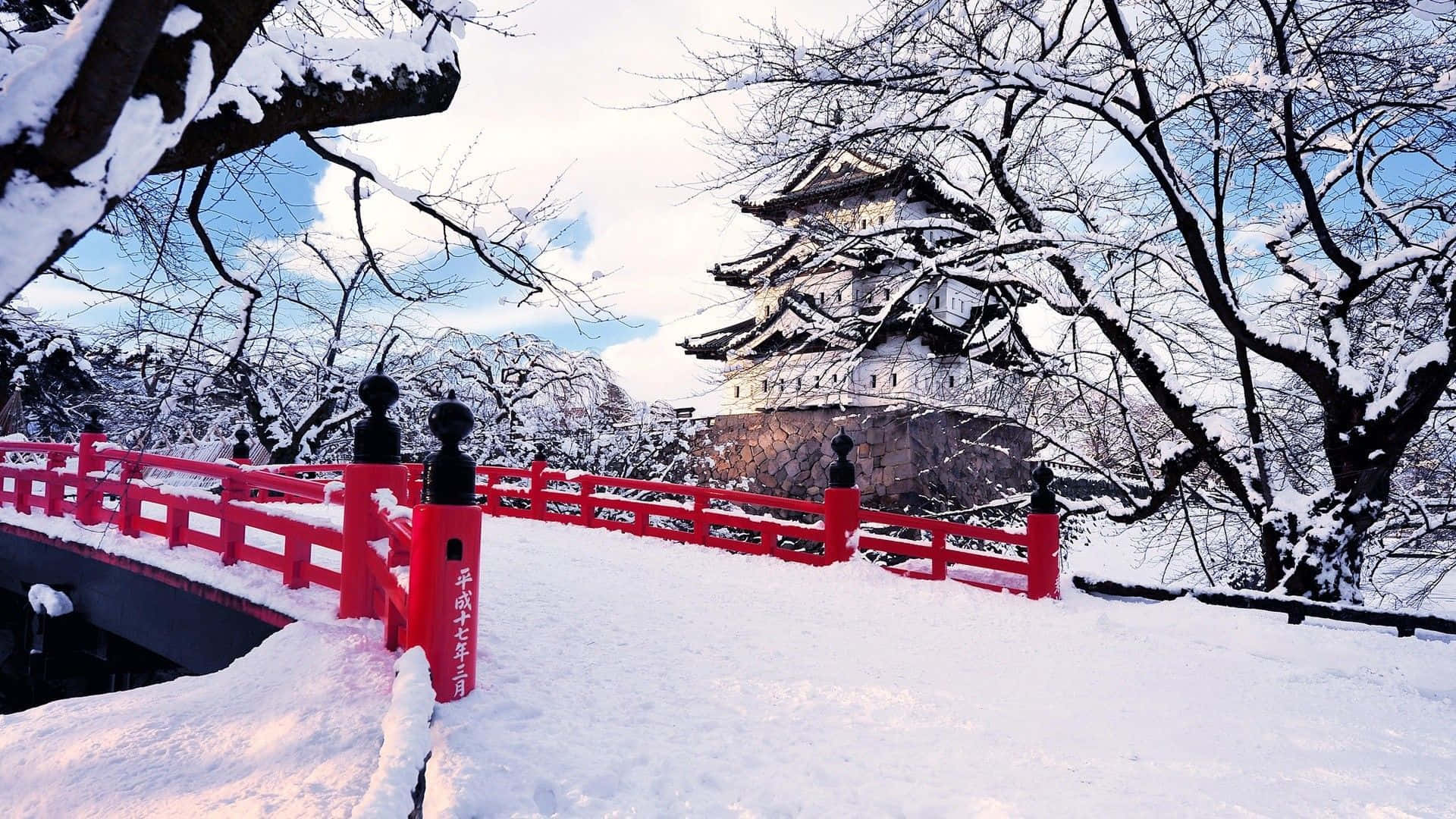 Embrace The Beauty Of A Winter Wonderland Background