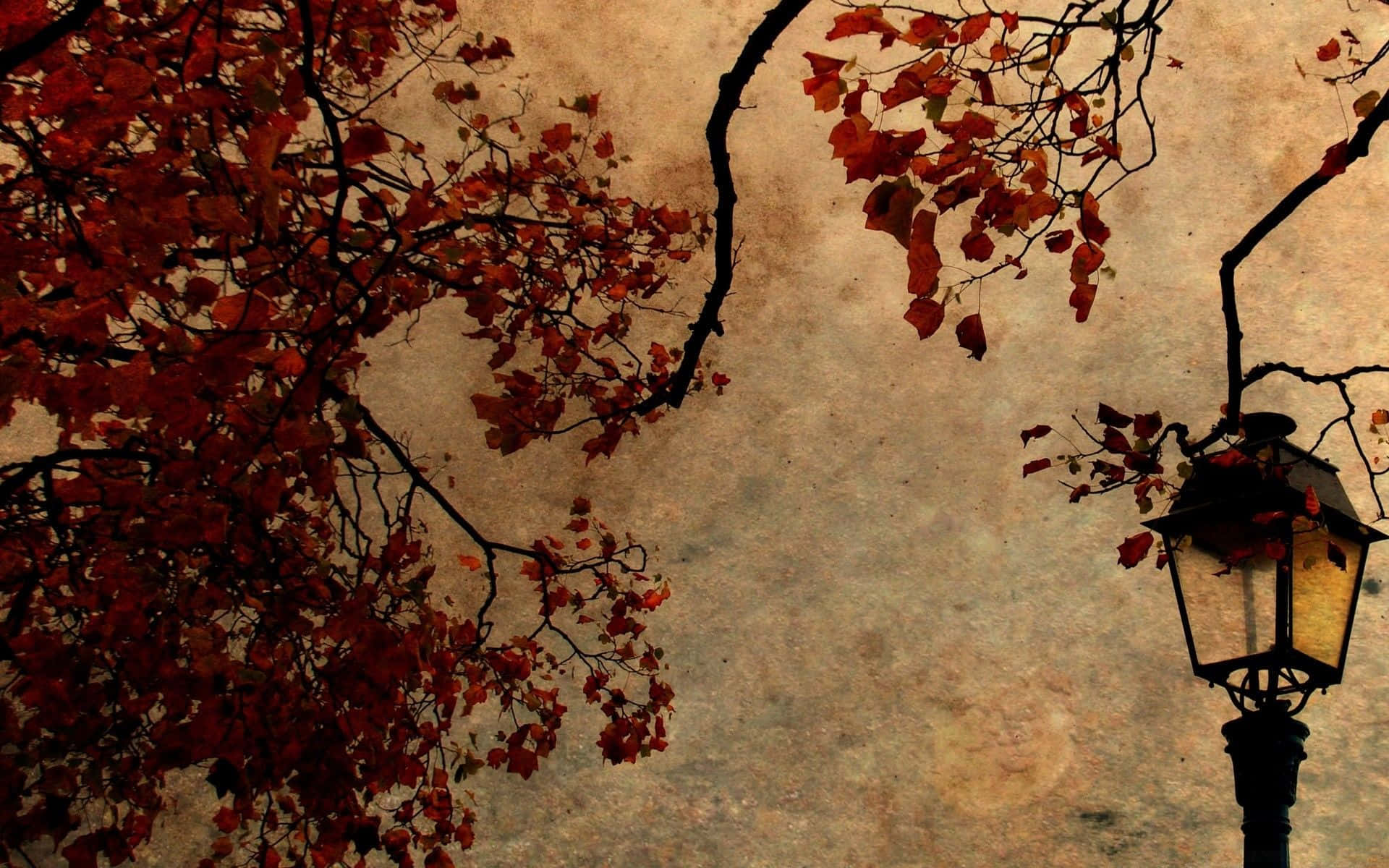 Embrace The Beauty Of An Autumn Day Background